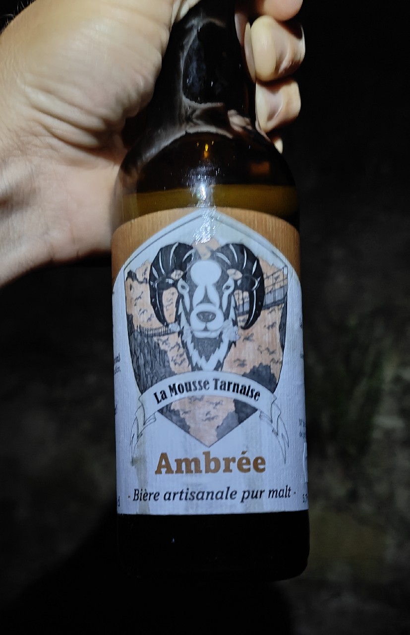 La Mousse Tarnaise Ambrée, France