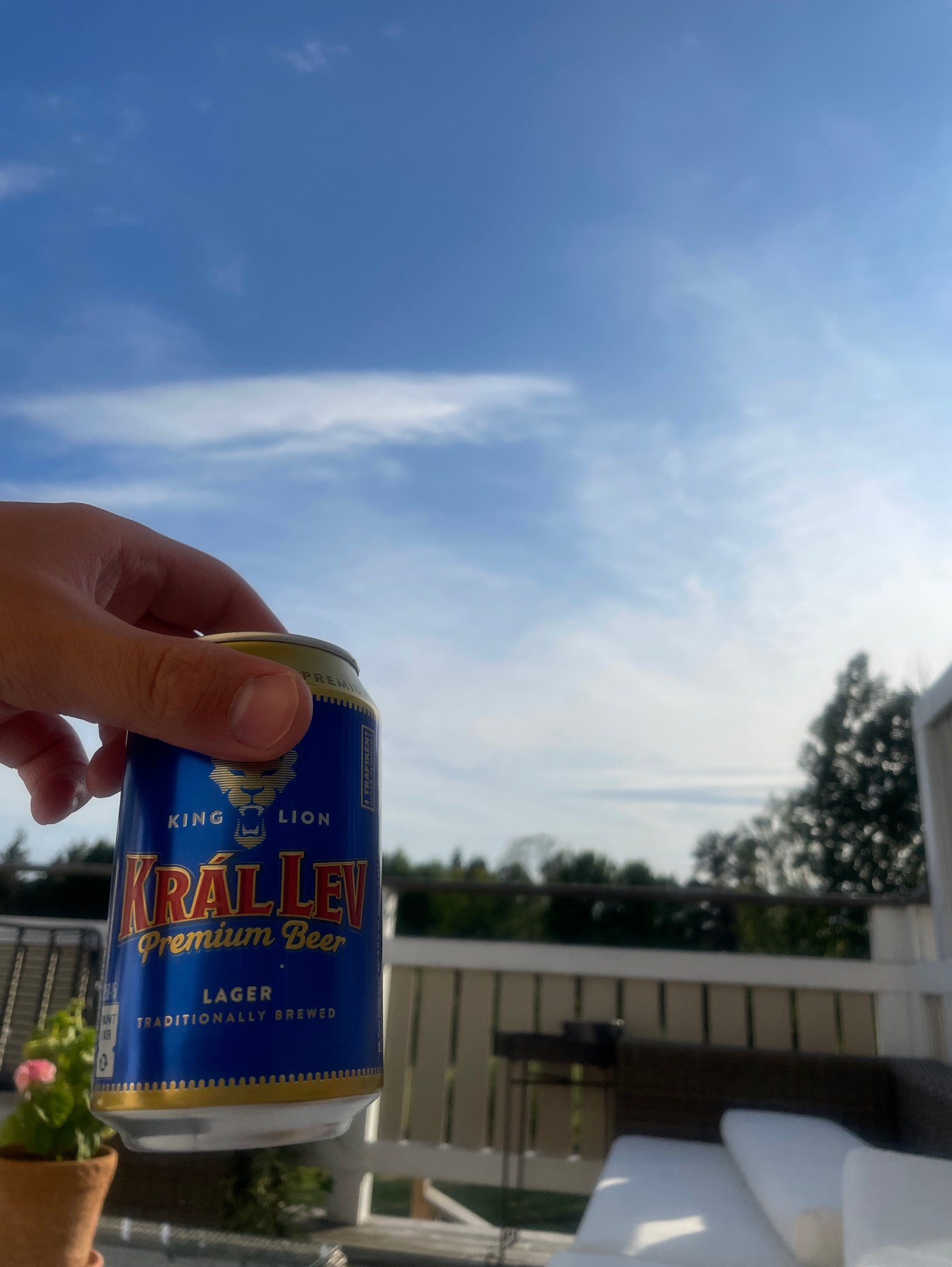 Král Lev, Czech Republic