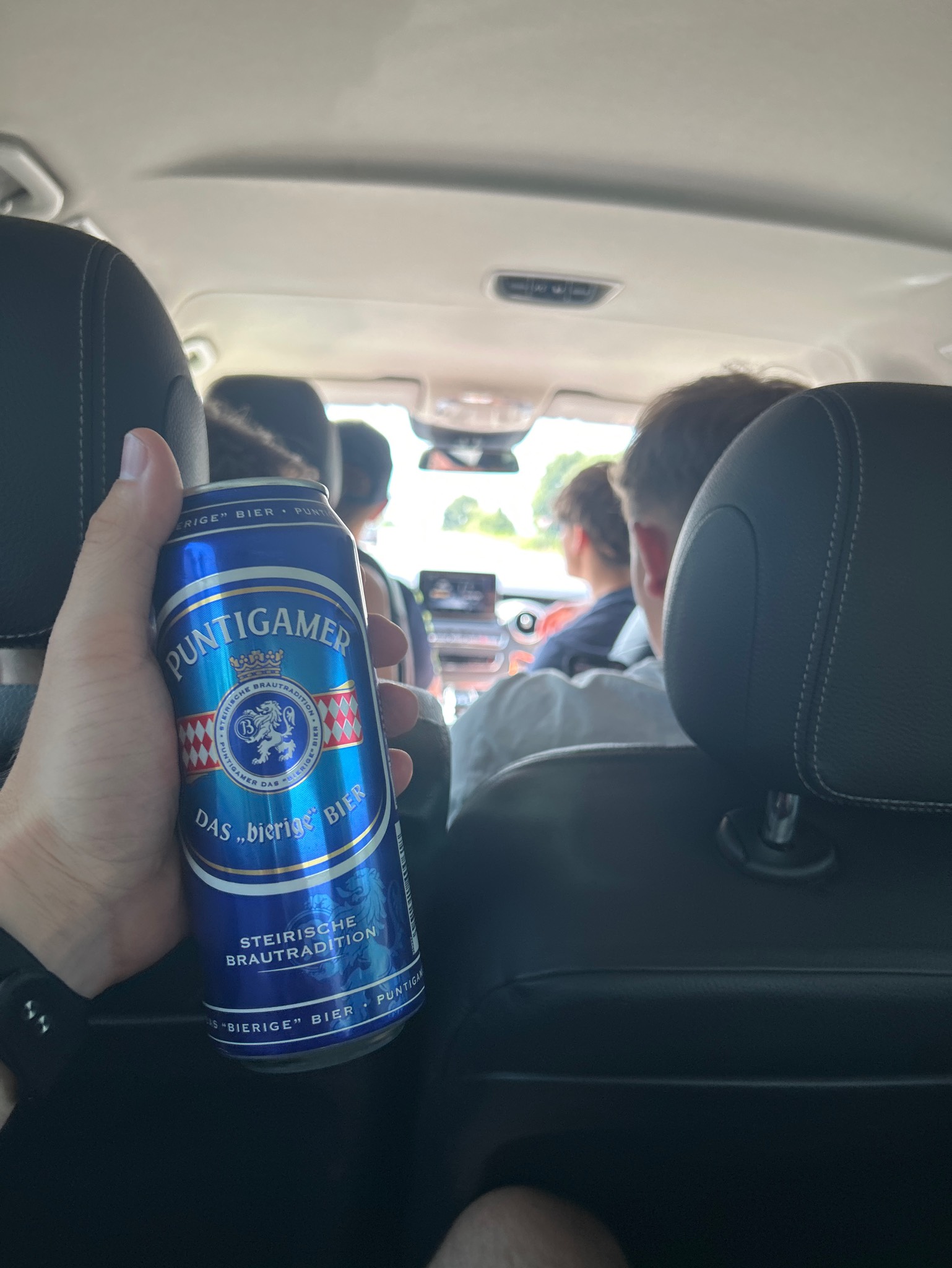 Puntigamer Das "Bierige" Bier, Puntigamer (Brau Union)