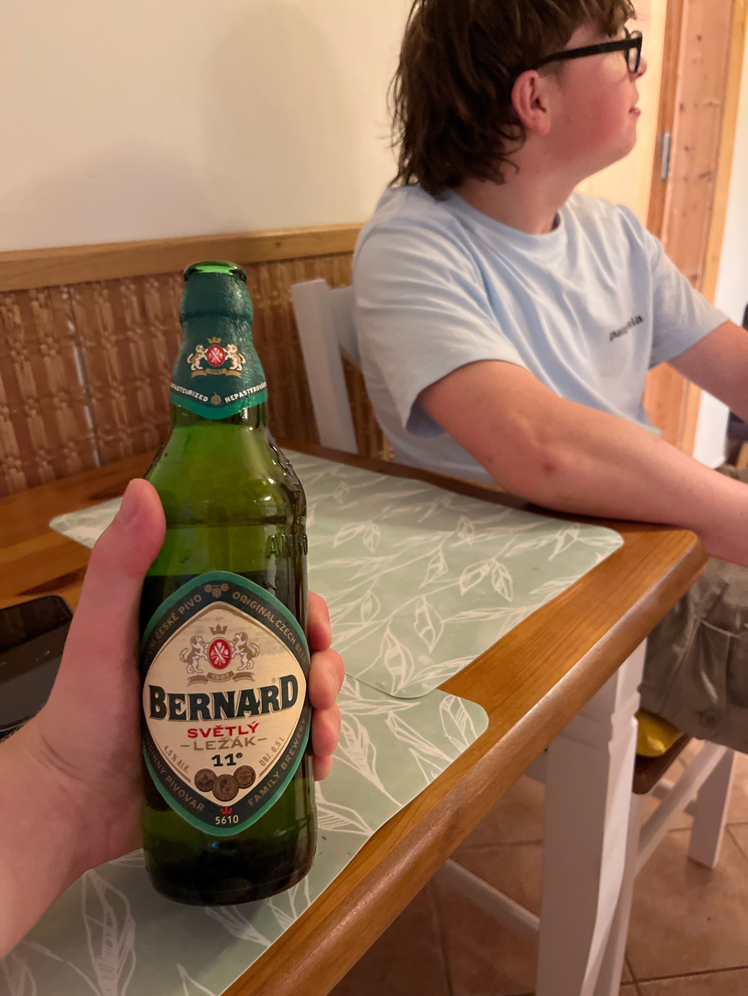 Bohemian Lager / Světlý Ležák 11°, Czech Republic