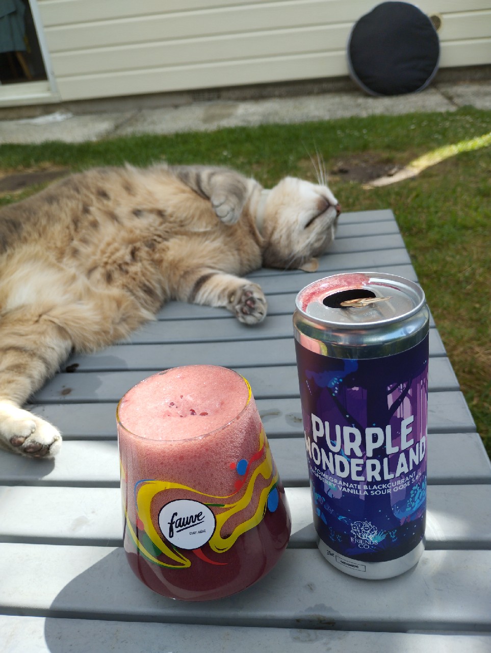 Purple Wonderland, Friends Company