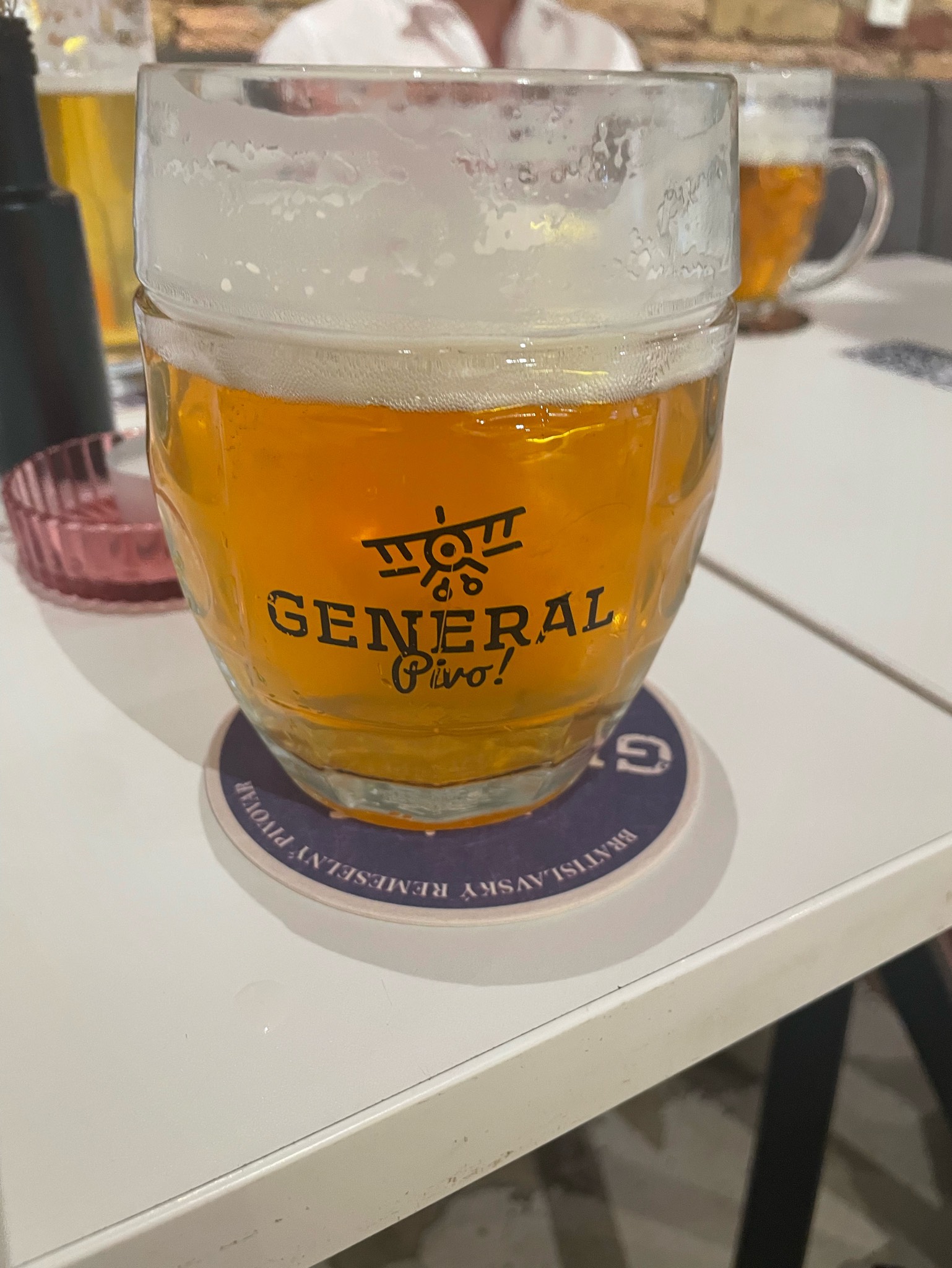 bratislavsky leziak 10, Bratislavský Meštiansky Pivovar