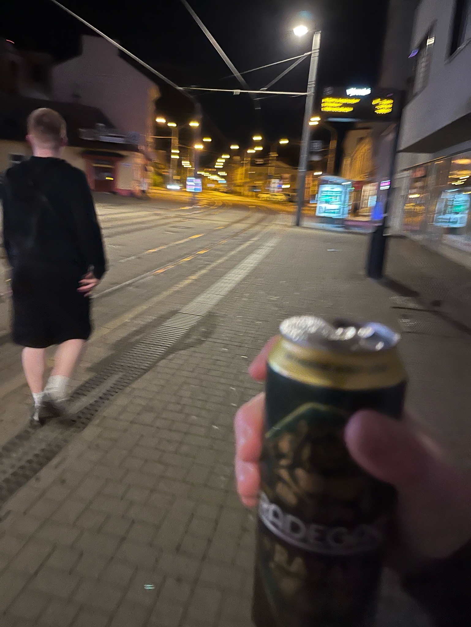 Radegast Temně Hořký, Czech Republic