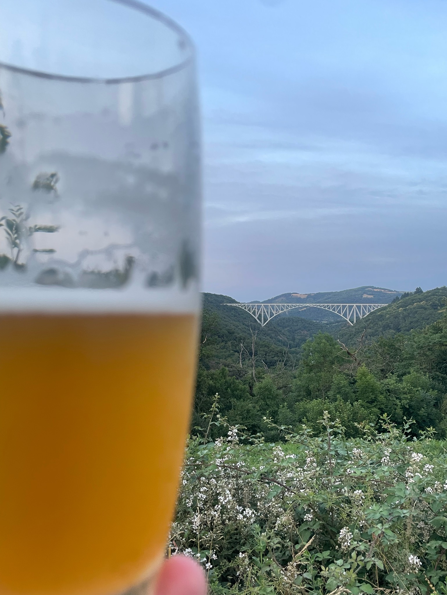 B12 Rye DIPA, France