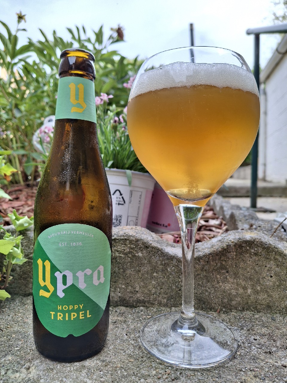 Ypra Hoppy Tripel, Belgium