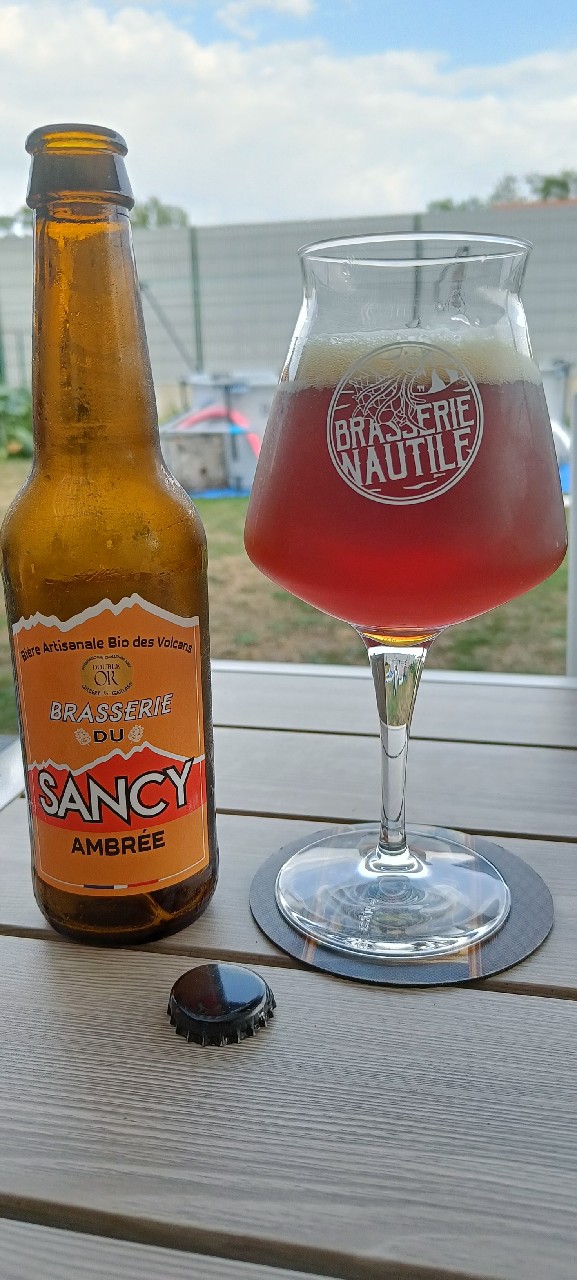 Sancy Ambrée, France