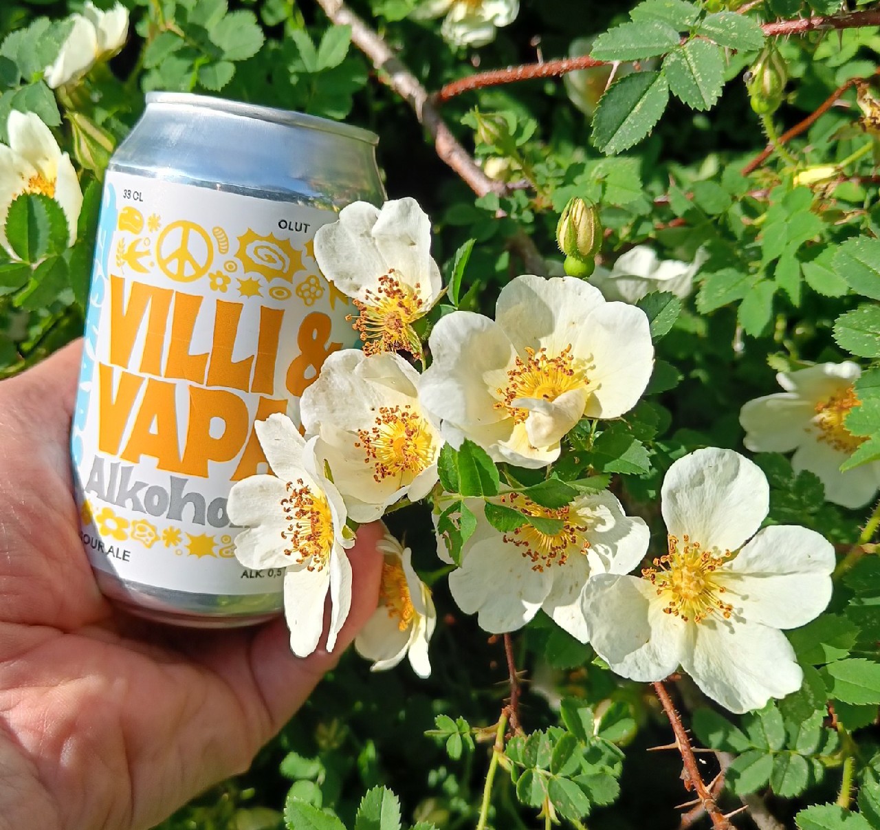 Villi & Vapaa Alkoholiton Sour Ale, Finland
