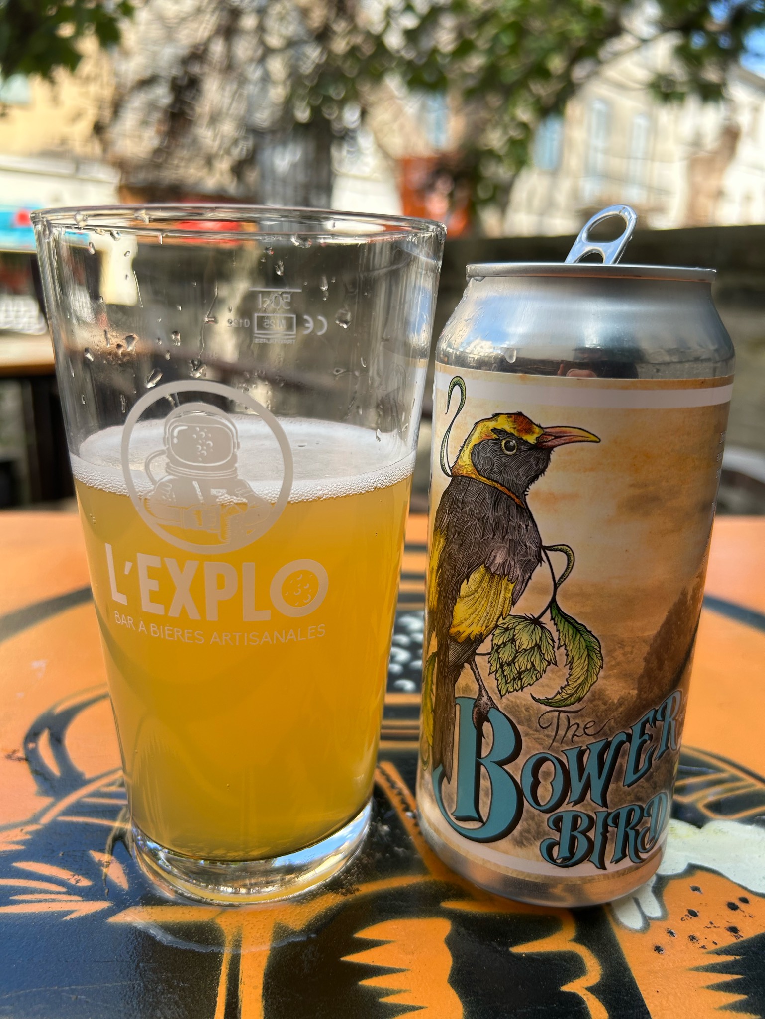 The Bower Bird, France