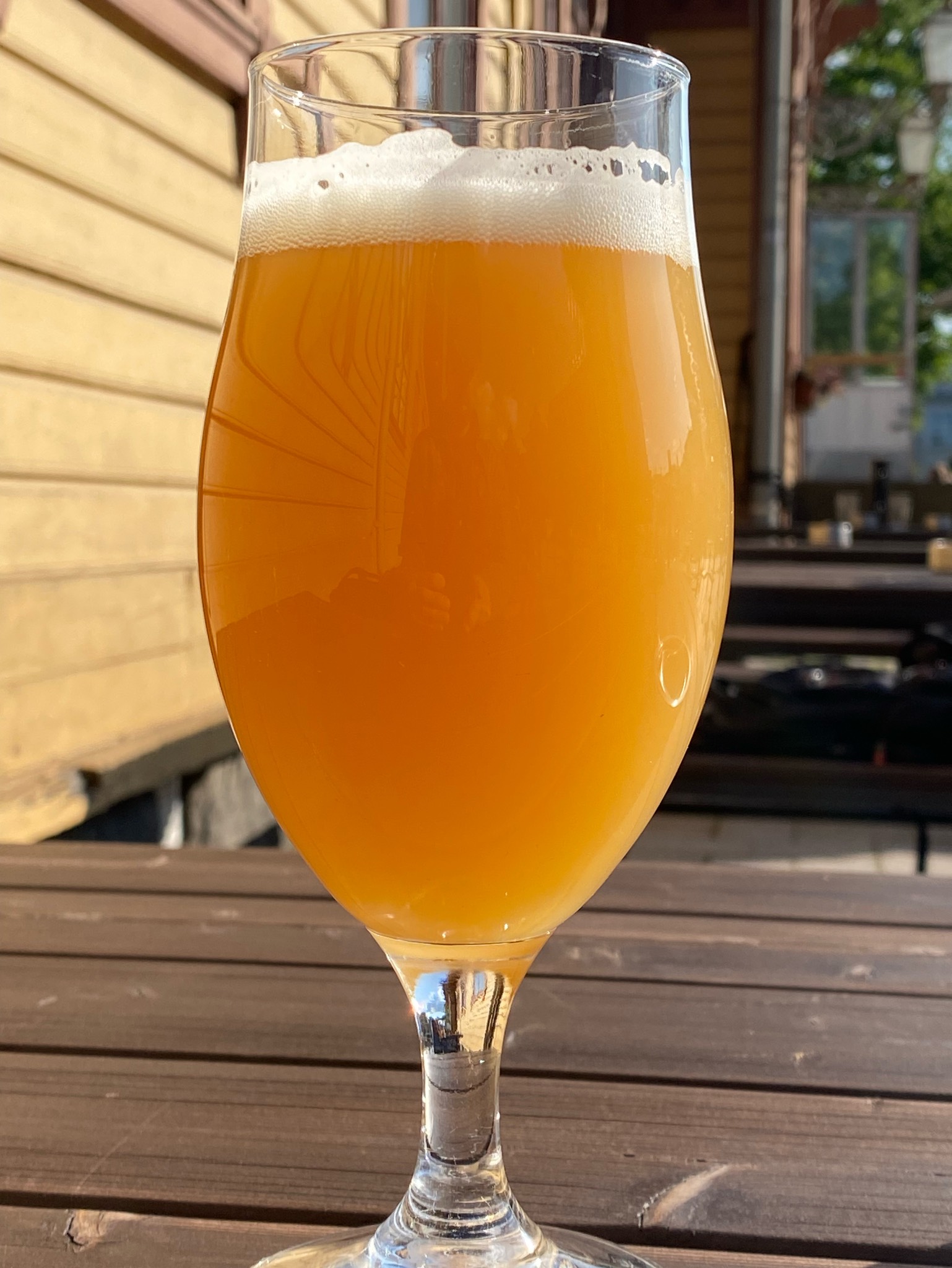 Temporalis #0031, Canada