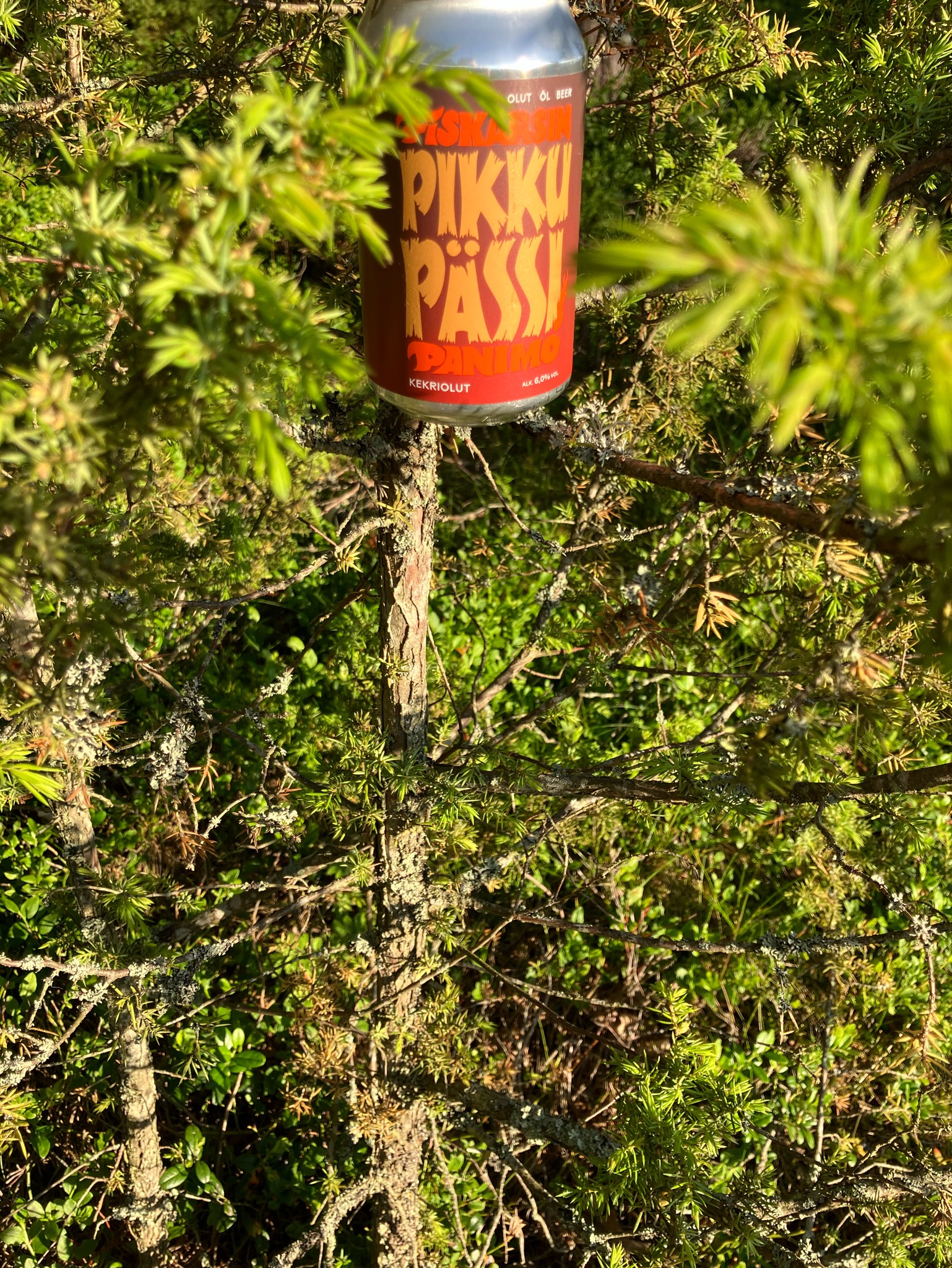 Pikku Pässi 6.0%, Finland