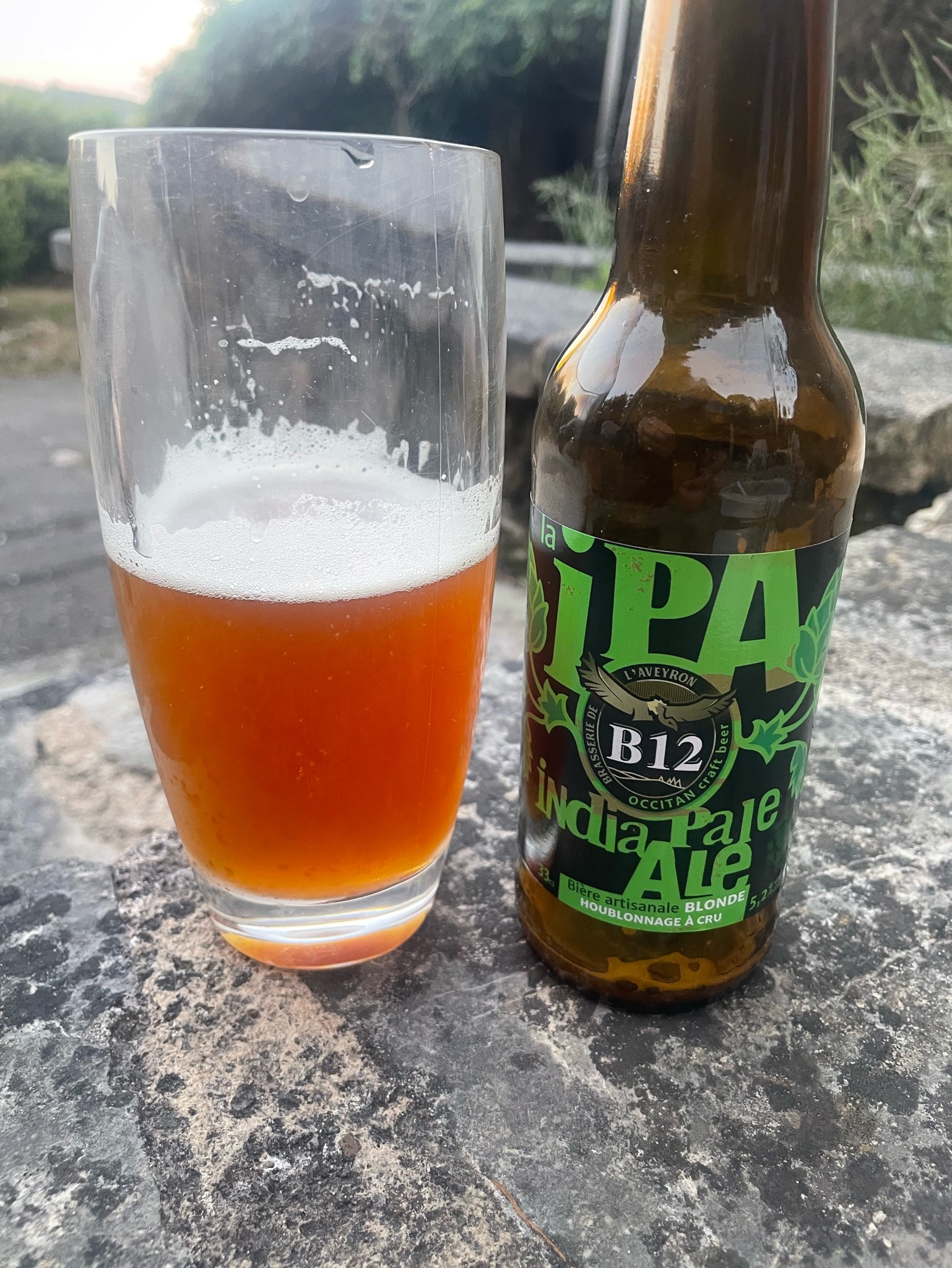 B12 IPA, France