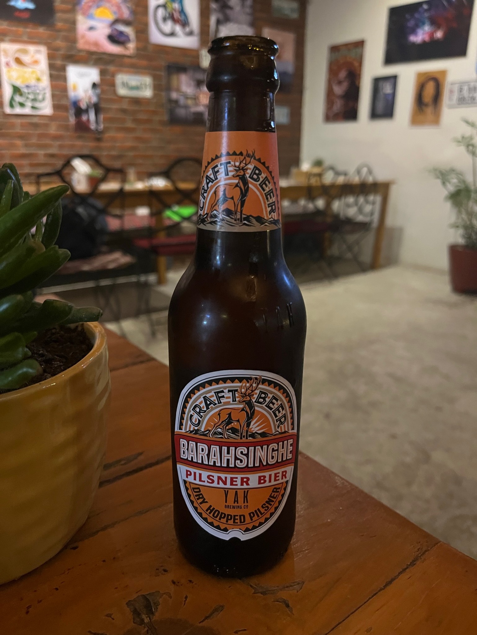 Barahsinghe Pilsner, Nepal