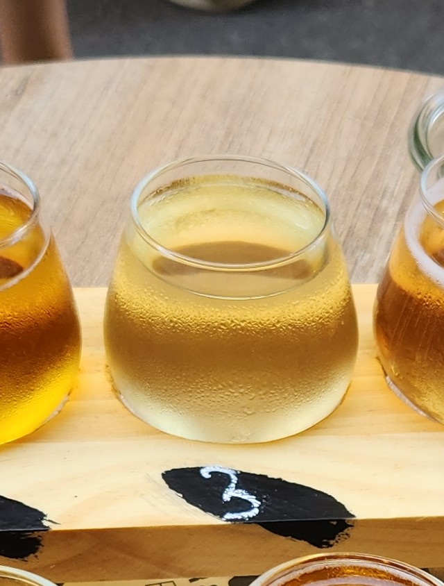 DŽINDŽERIS, Latvia