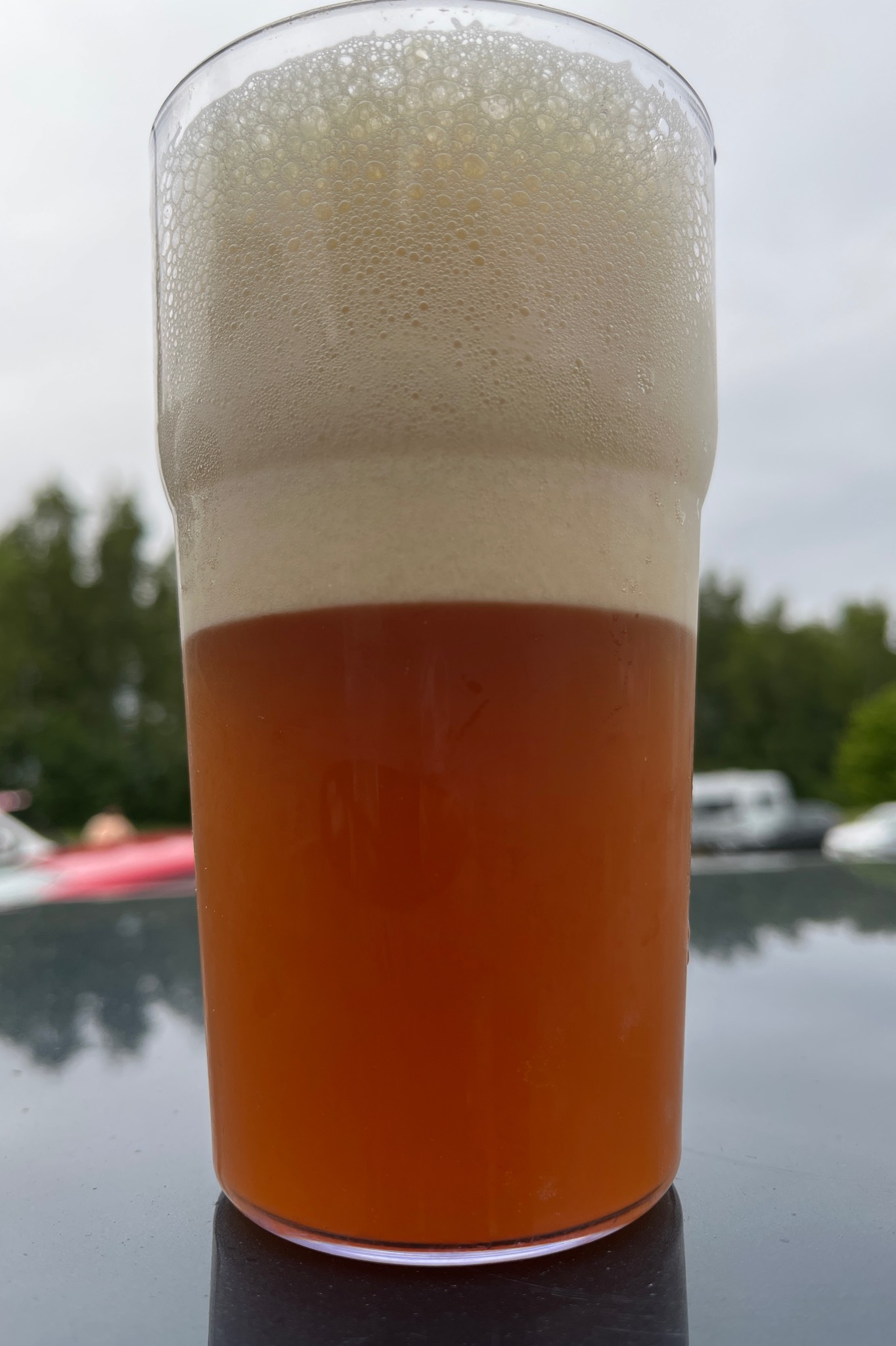 duo L ipa, Finland