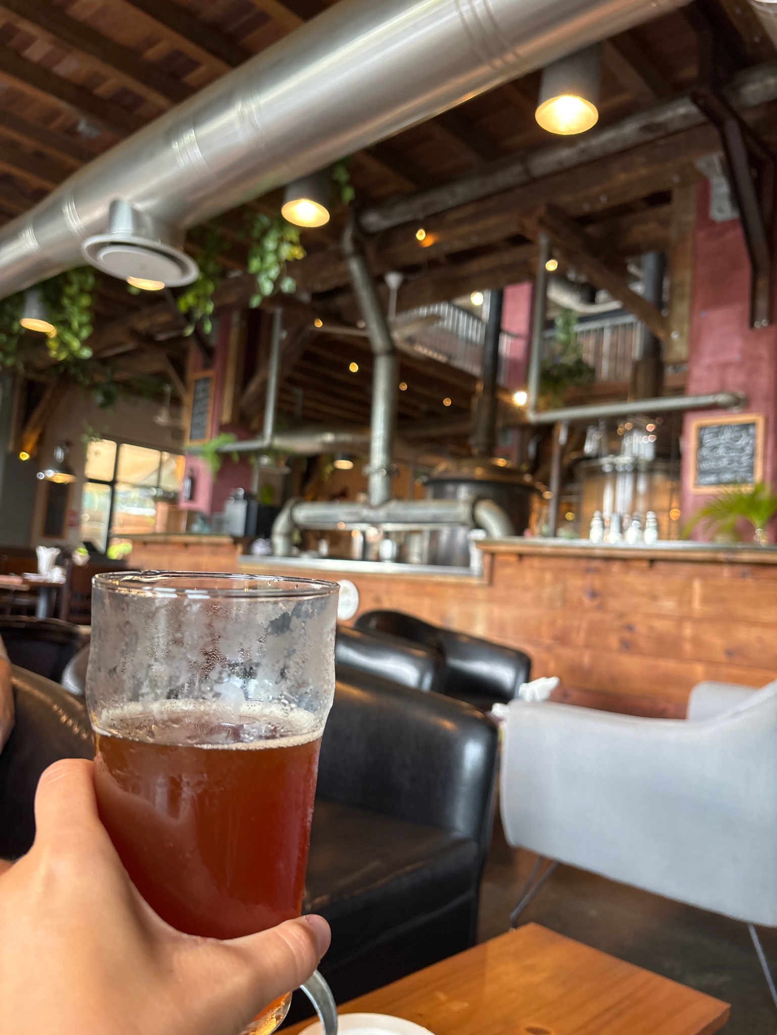 Nation'Ale, Flying Dodo Brewing Company