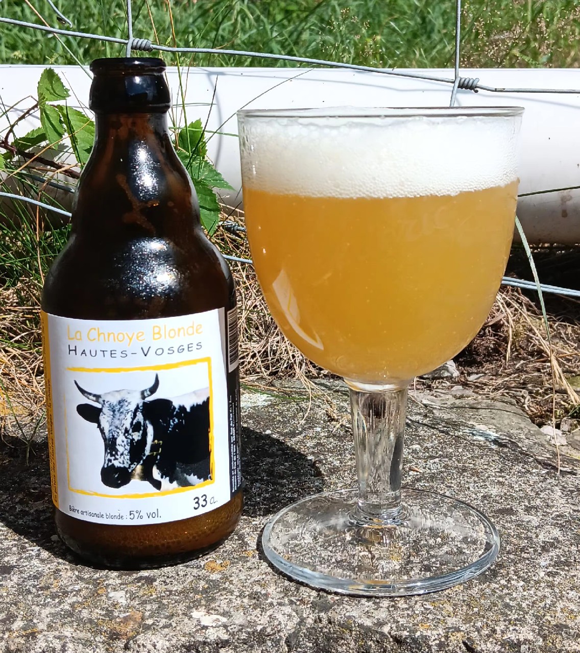 La Chnoye Blonde, France