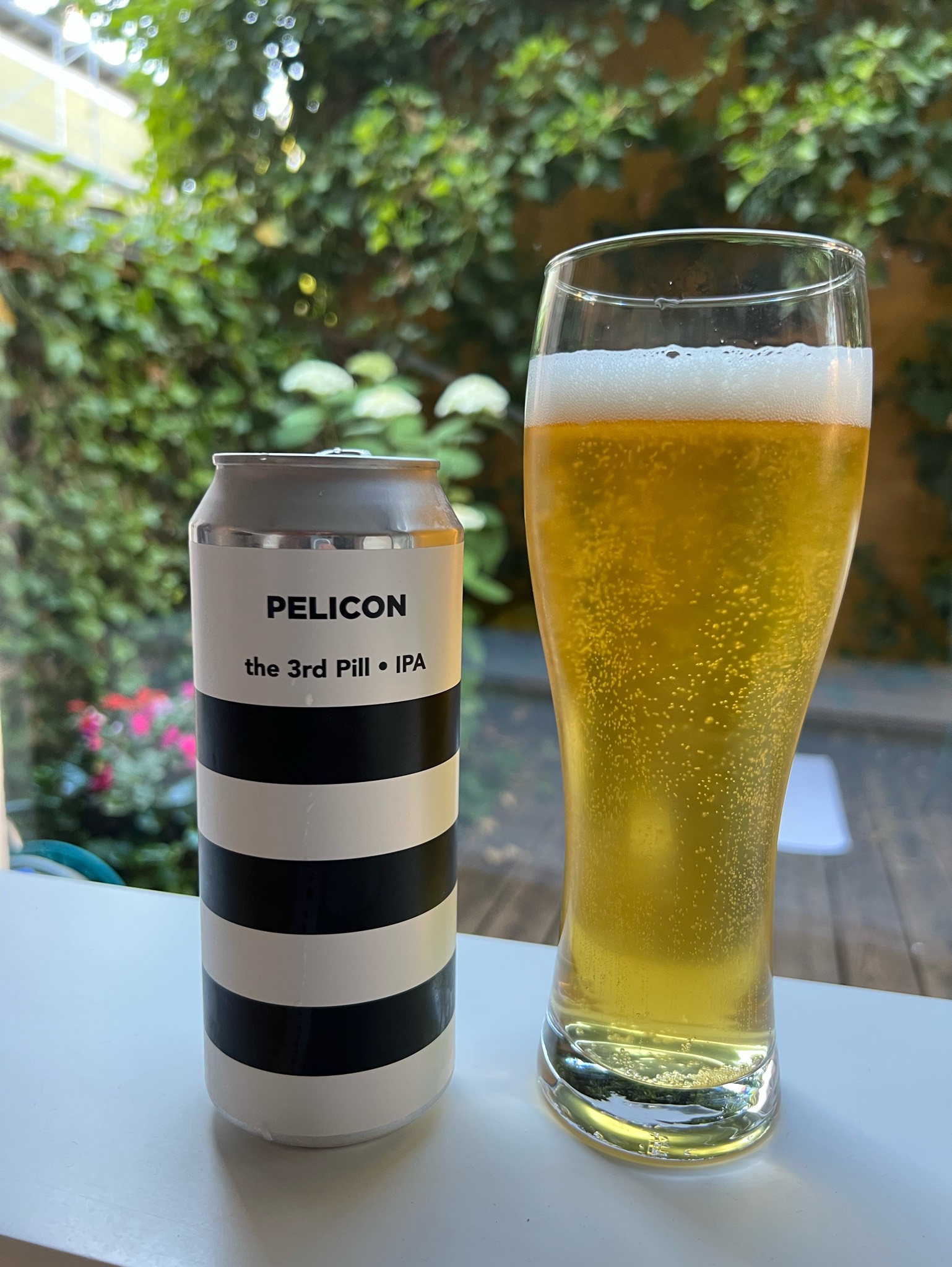 The 3rd Pill - IPA, Slovenia