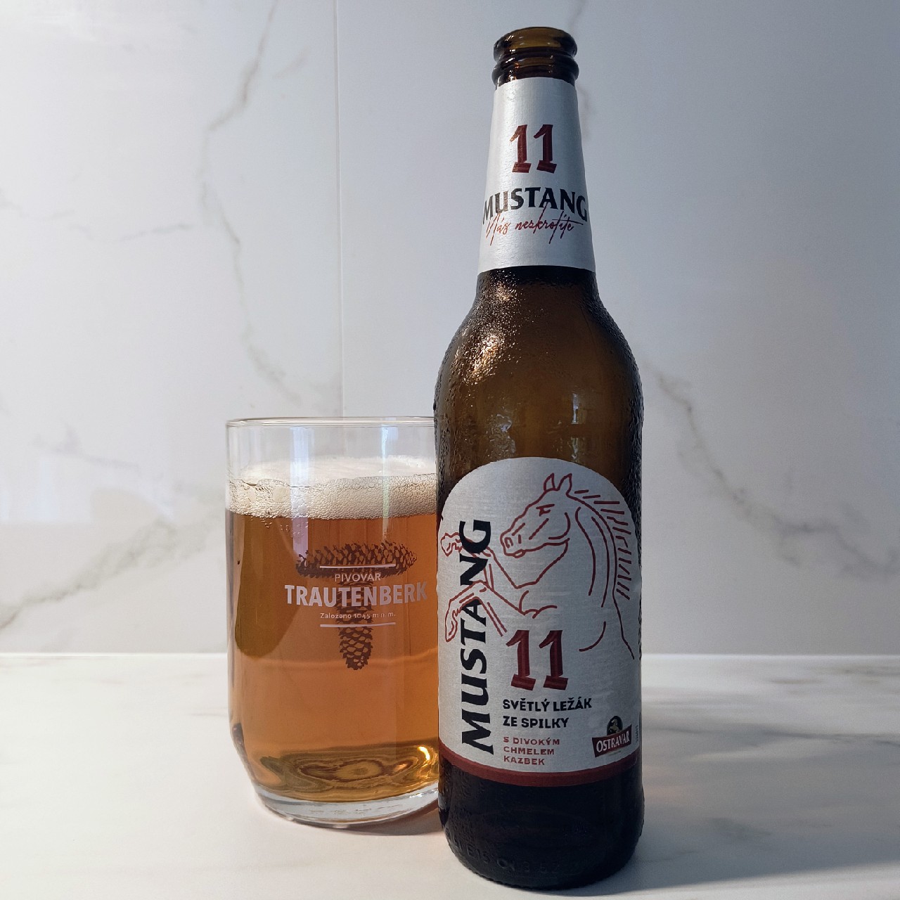 Mustang 11, Czech Republic