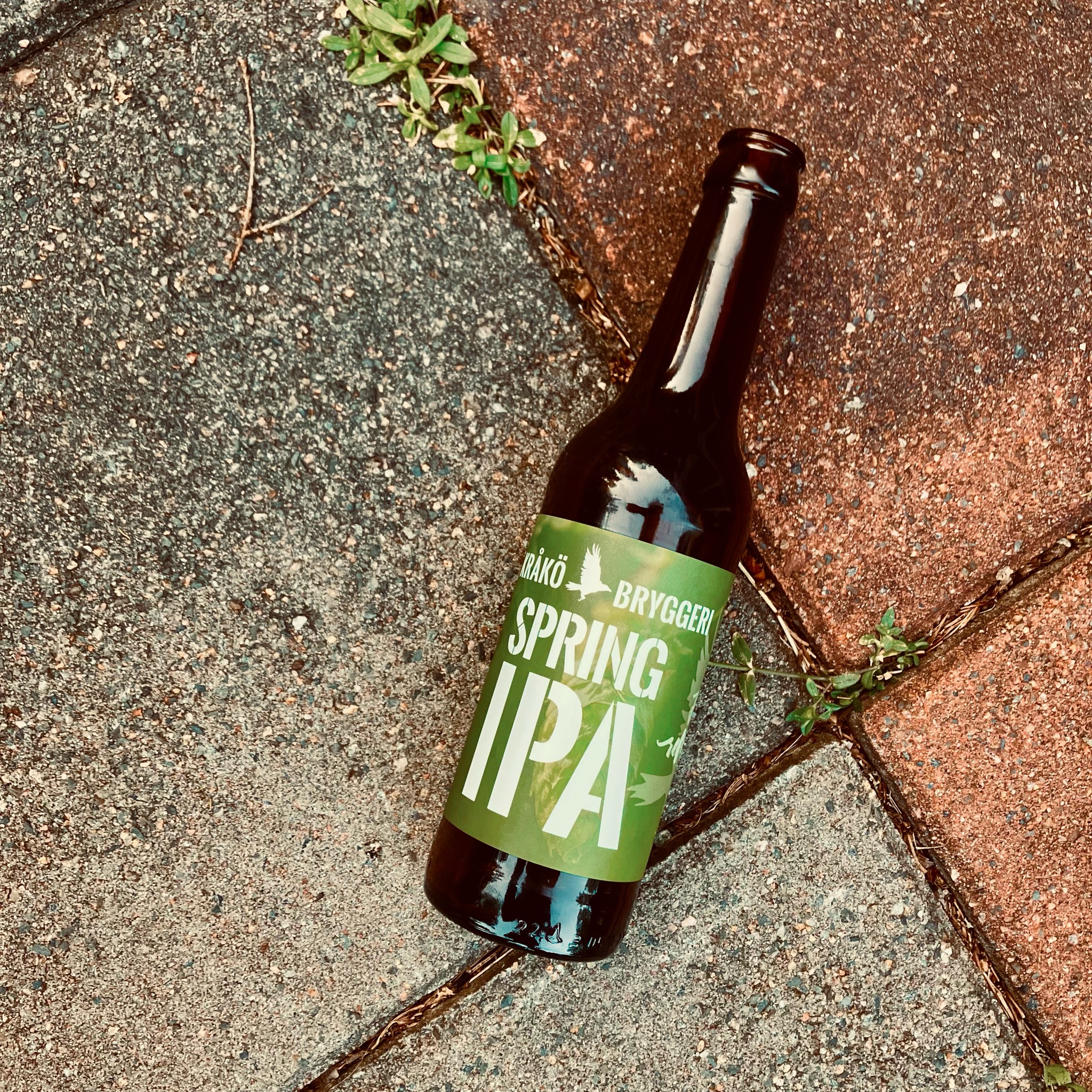 Spring IPA, Finland