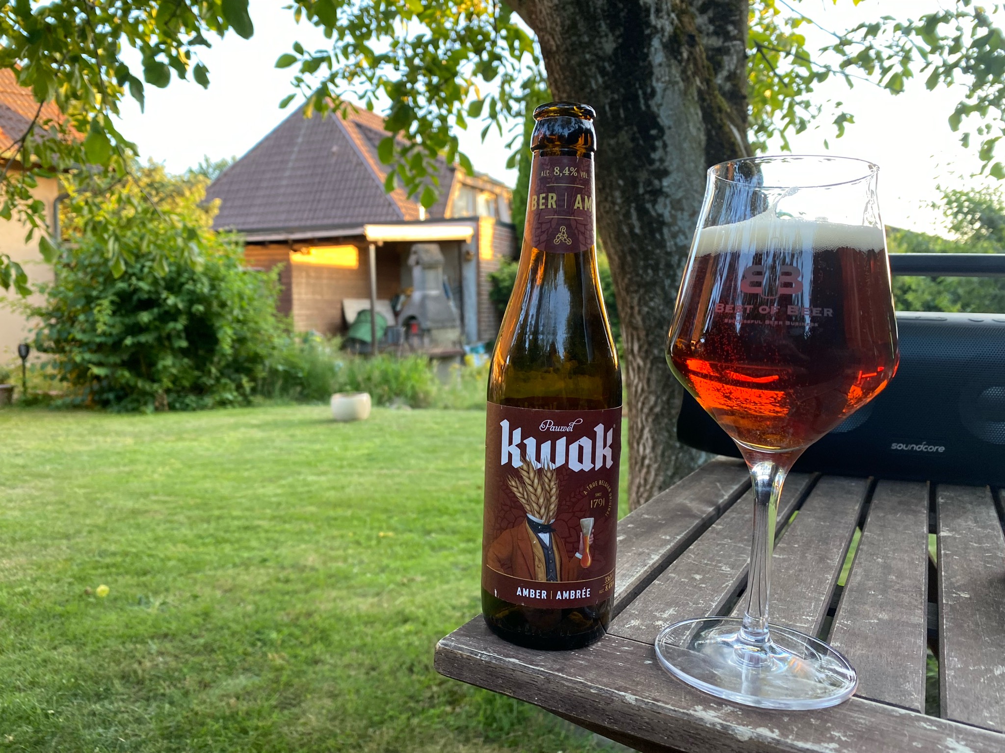 Pauwel Kwak, Belgium