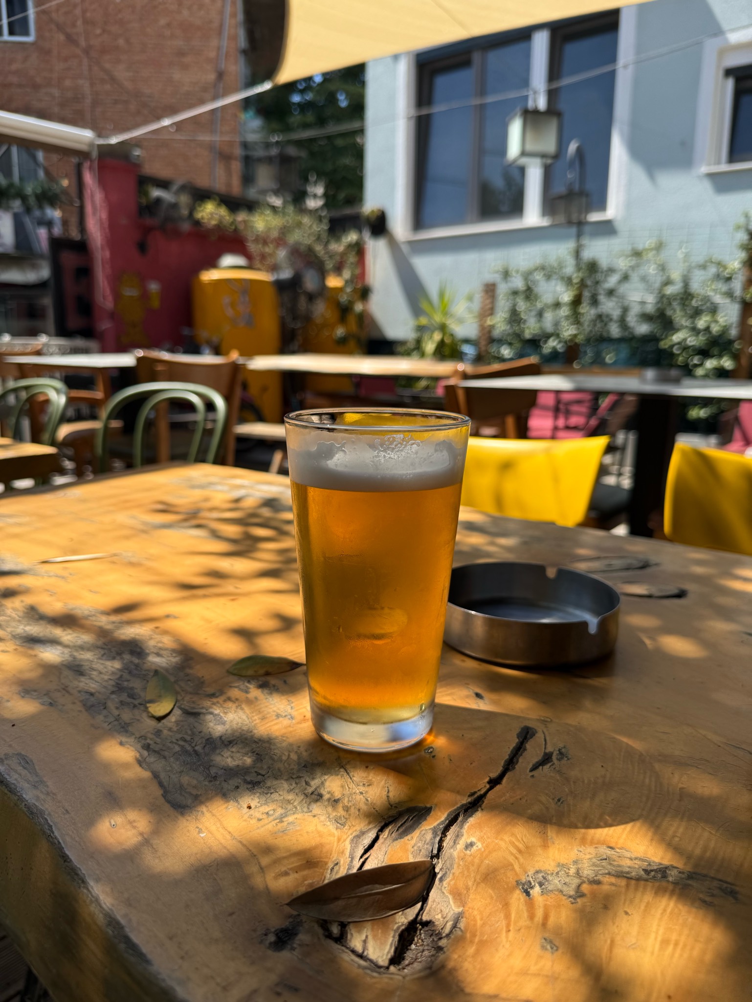 Siringha, Pan's Microbrewery