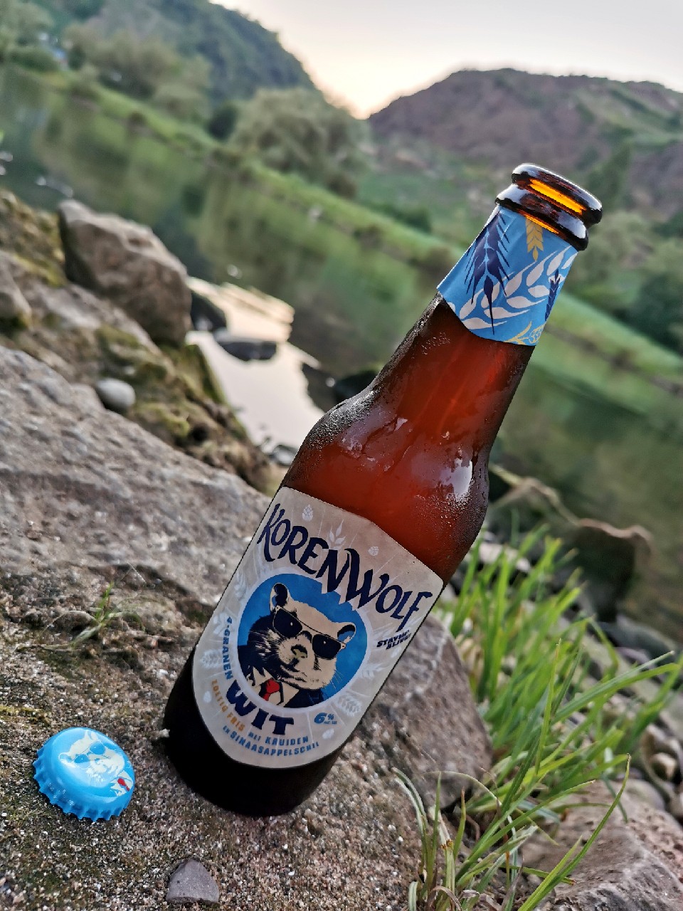 Korenwolf, Netherlands