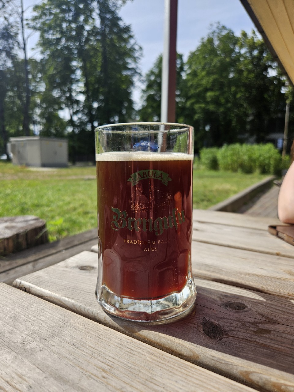 Brenguļu Tumšais, SIA Abula