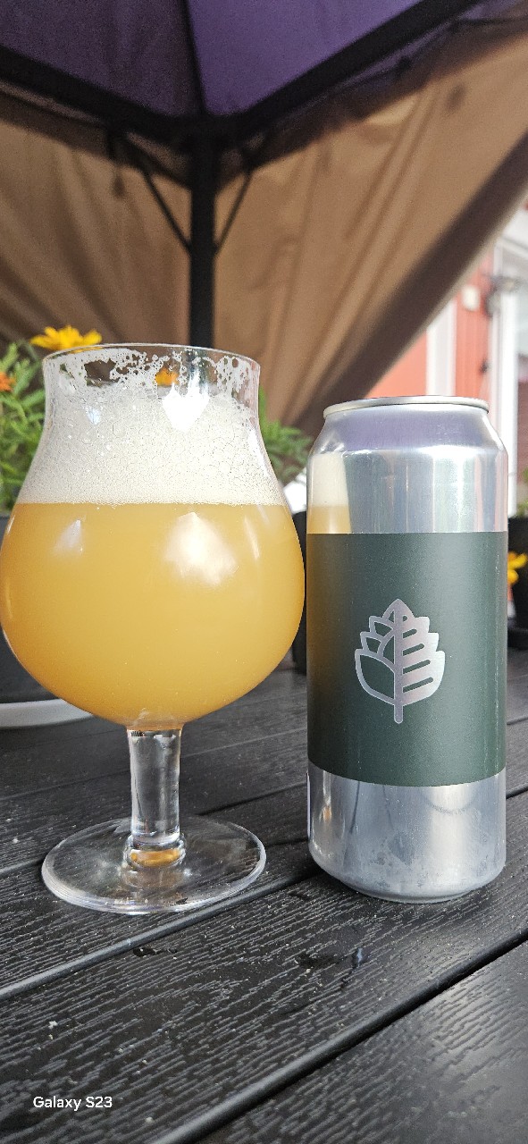 Holy Hazel, Wood Brothers Brewing Co.