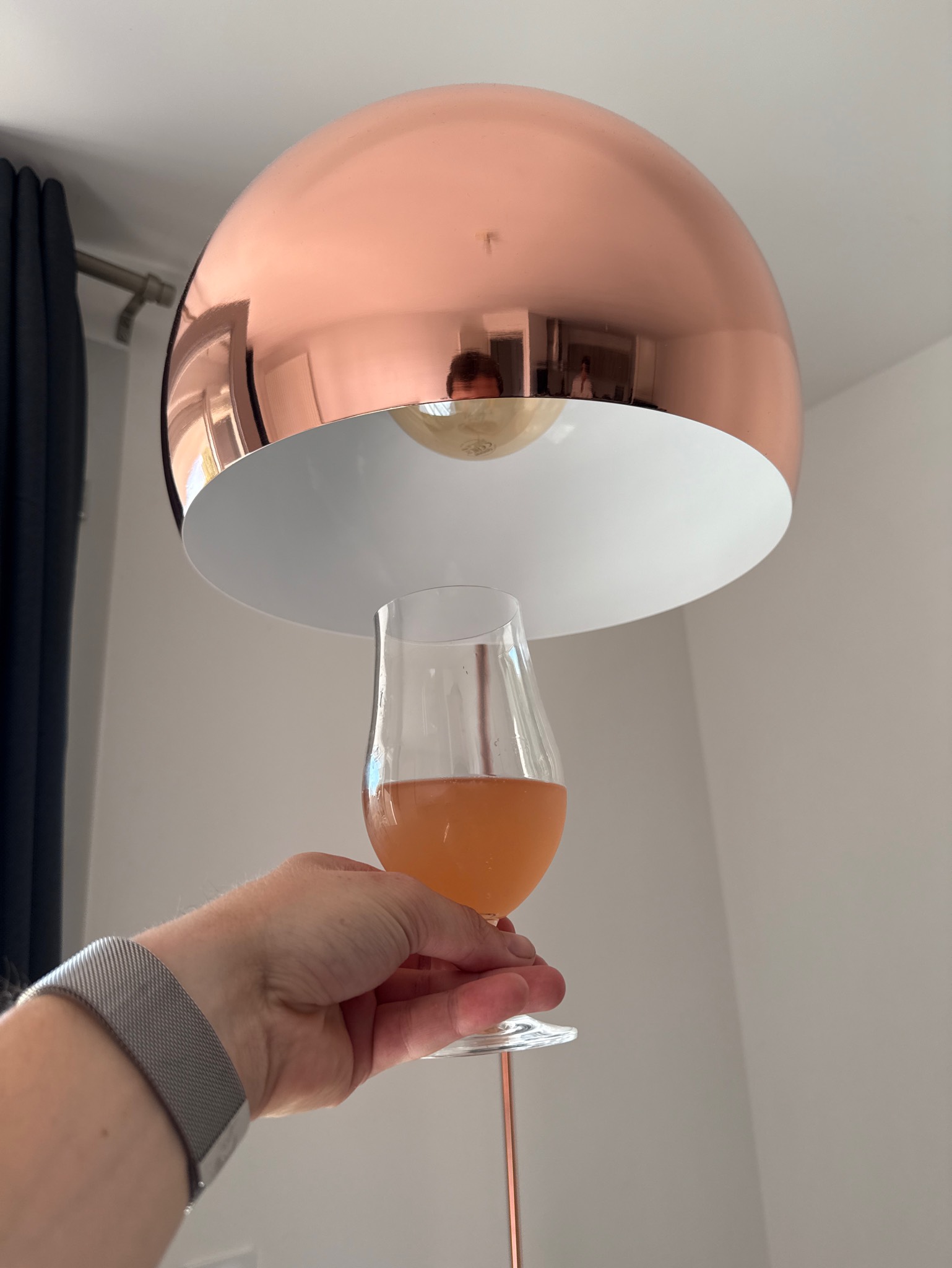 Wild Cabernet Franc Saint-Emilion Foeder Aged, France