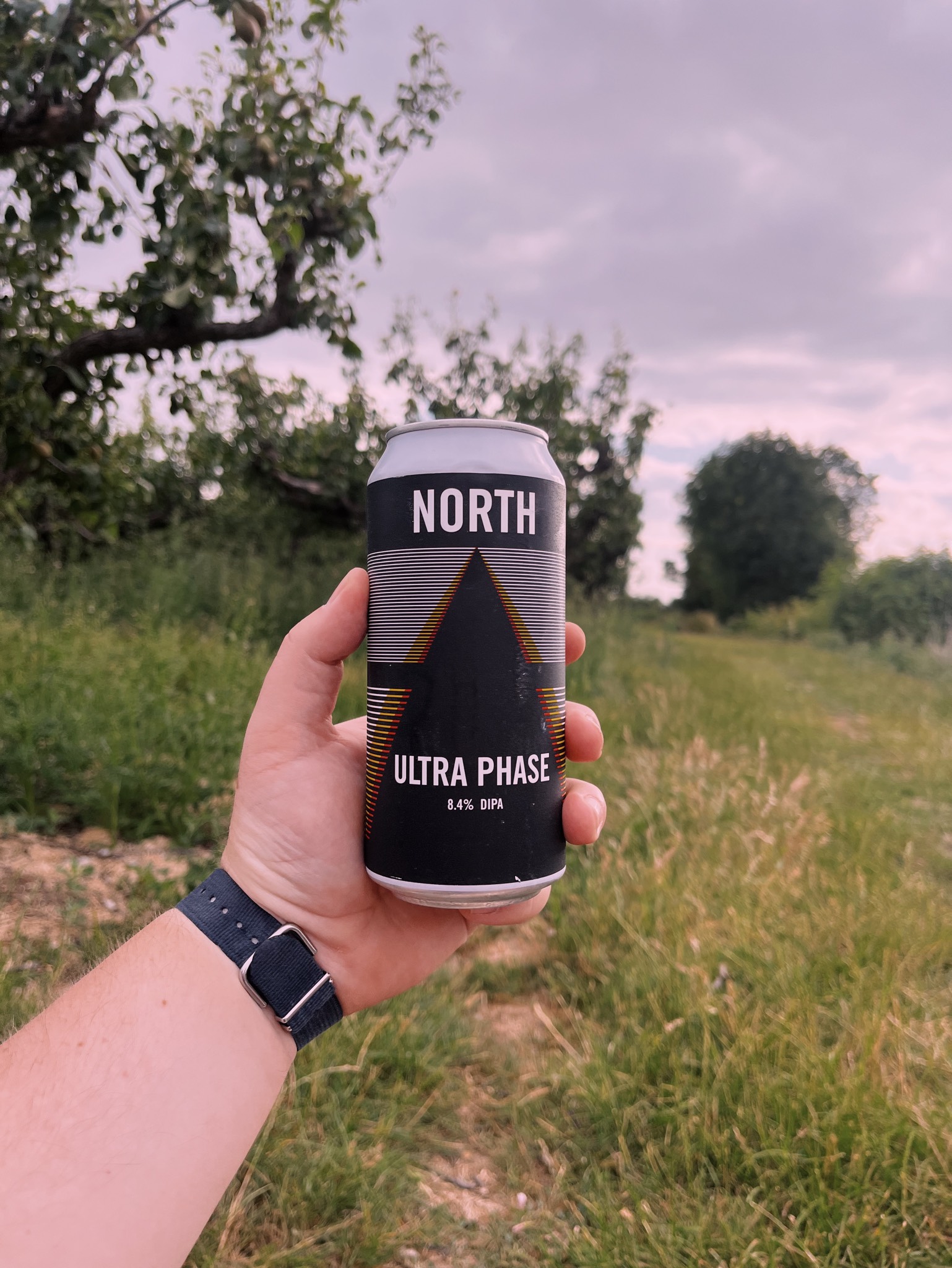 Ultra Phase, North Brewing Co.