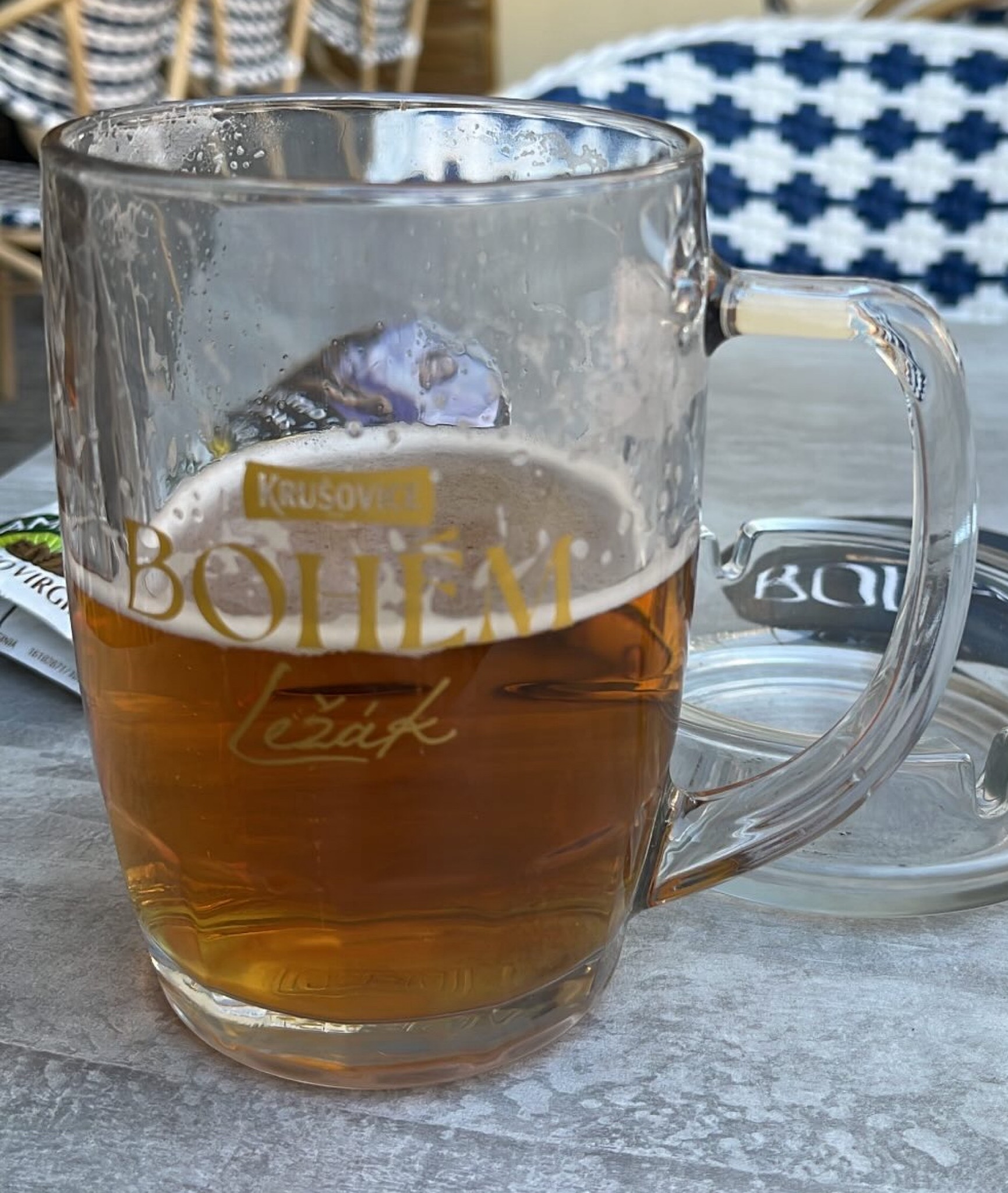 Bohemian Lager / Světlý Ležák 11°, Czech Republic