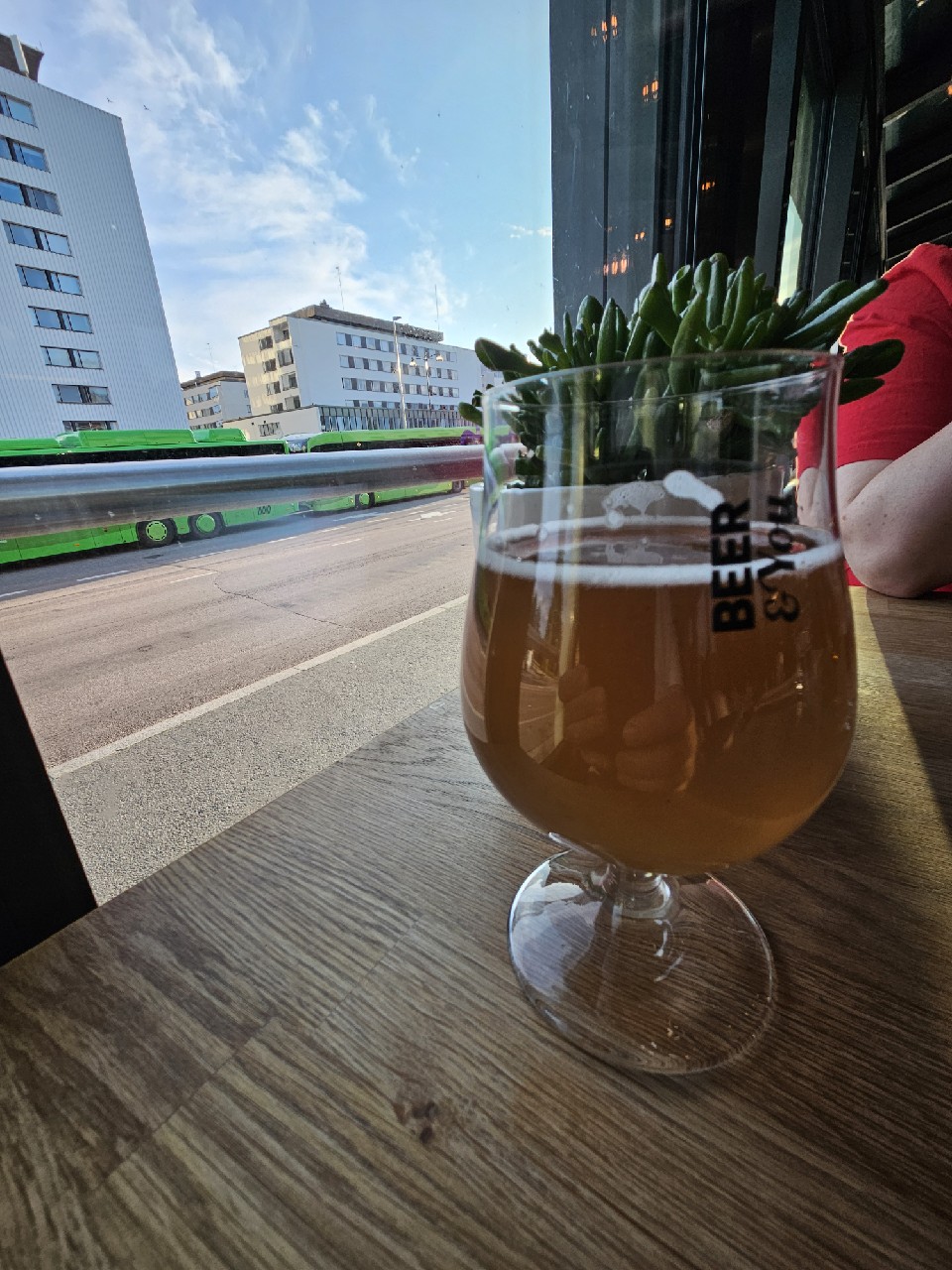 Sauhu, Finland