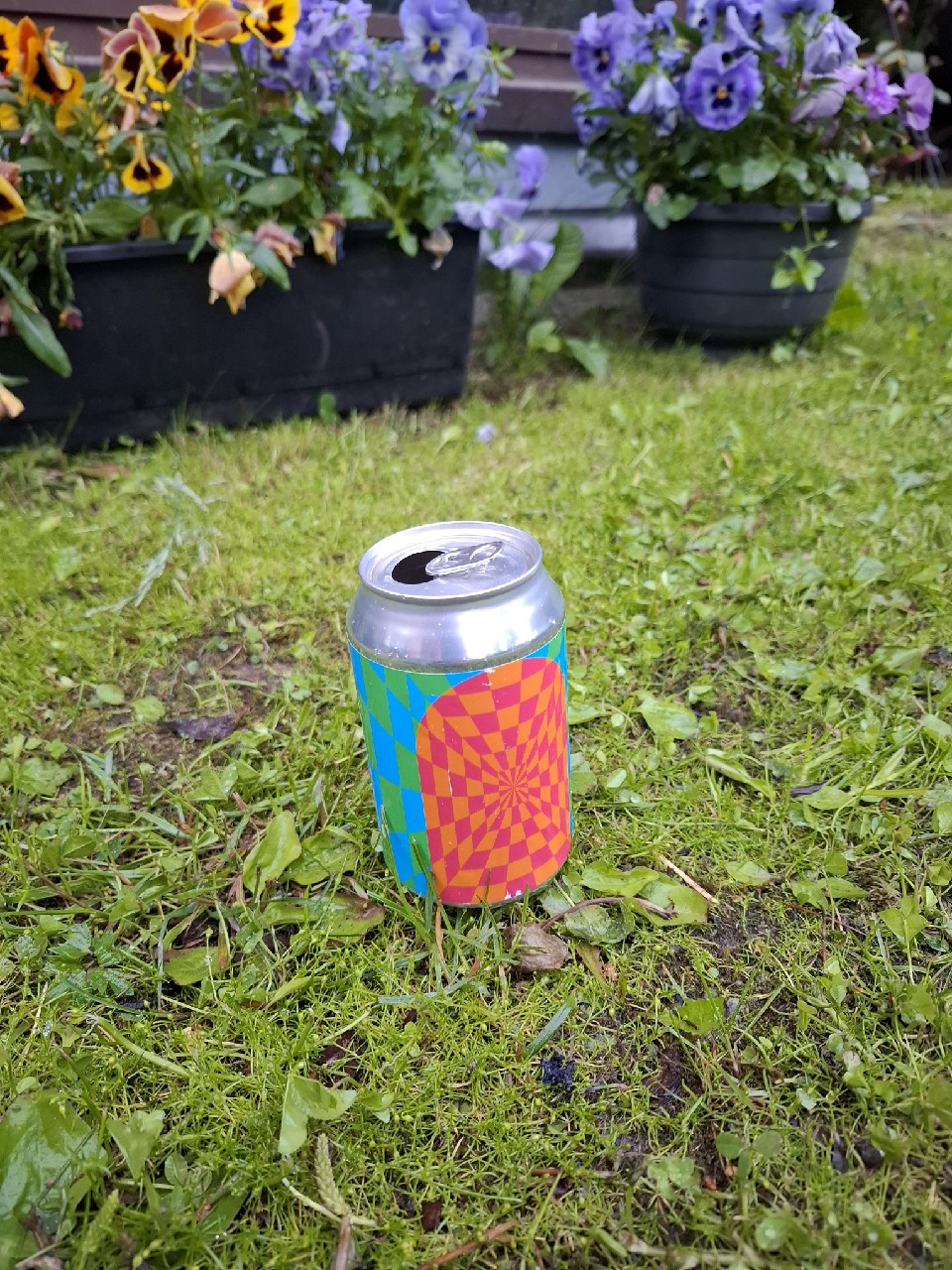 Pleroma Dragon Fruit Crème Brûlée Sour, Sweden