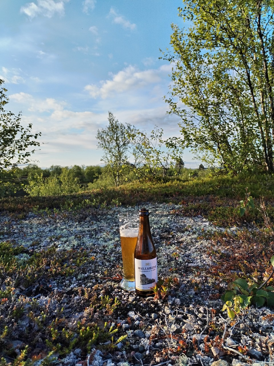Melleruds Alkoholfria Pilsner, Sweden