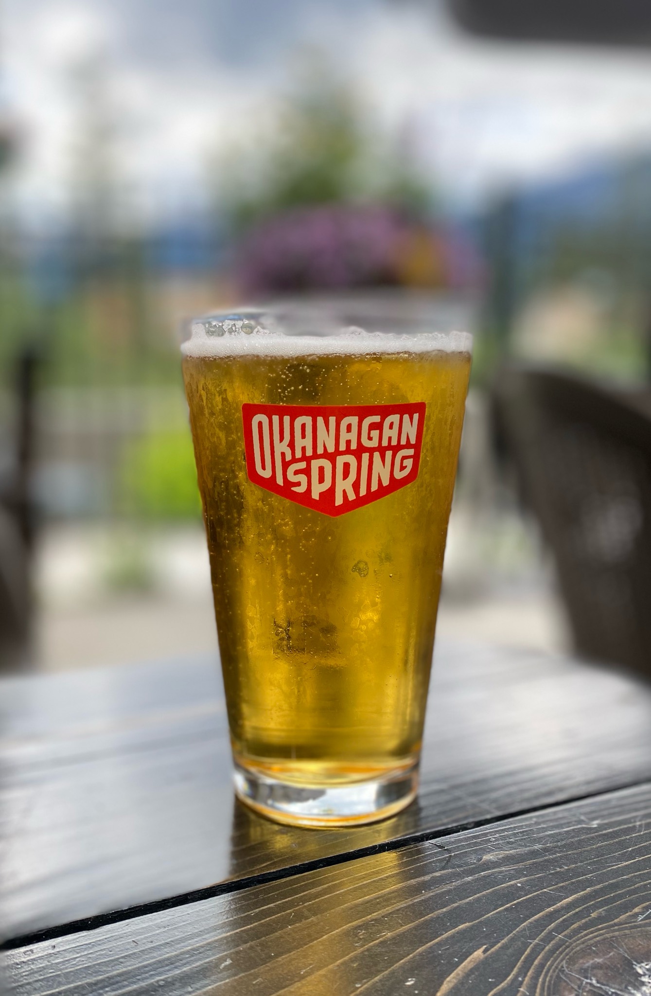 Spring 1516, Okanagan Spring Brewery (Sapporo)