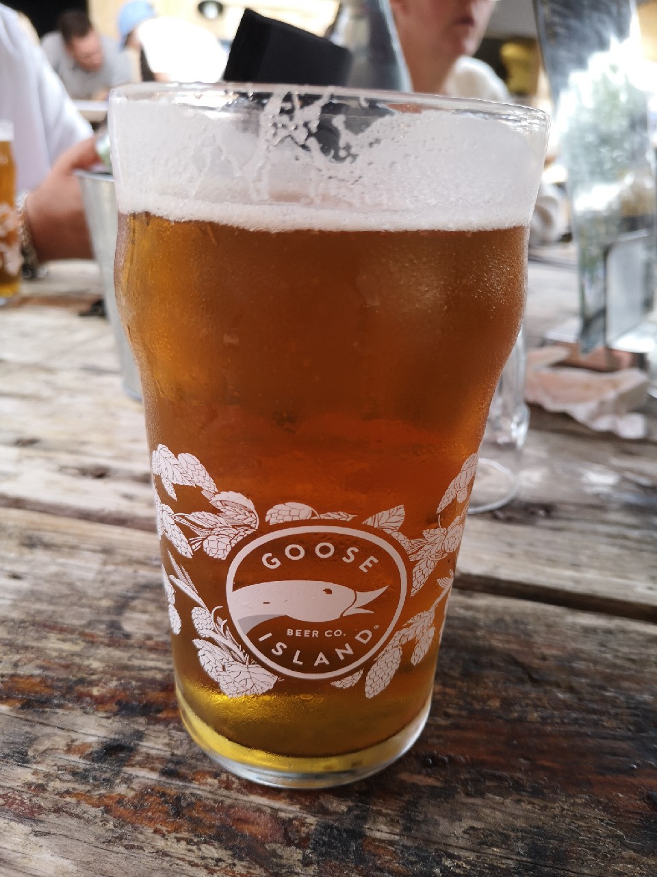 Goose Island IPA, Goose Island Beer Company (AB-InBev)