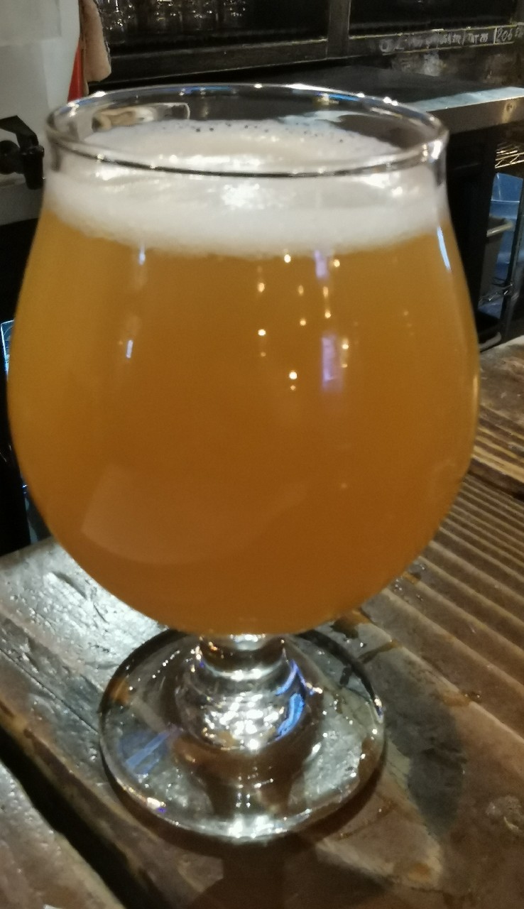 Tubular IPA, Orono Brewing Company