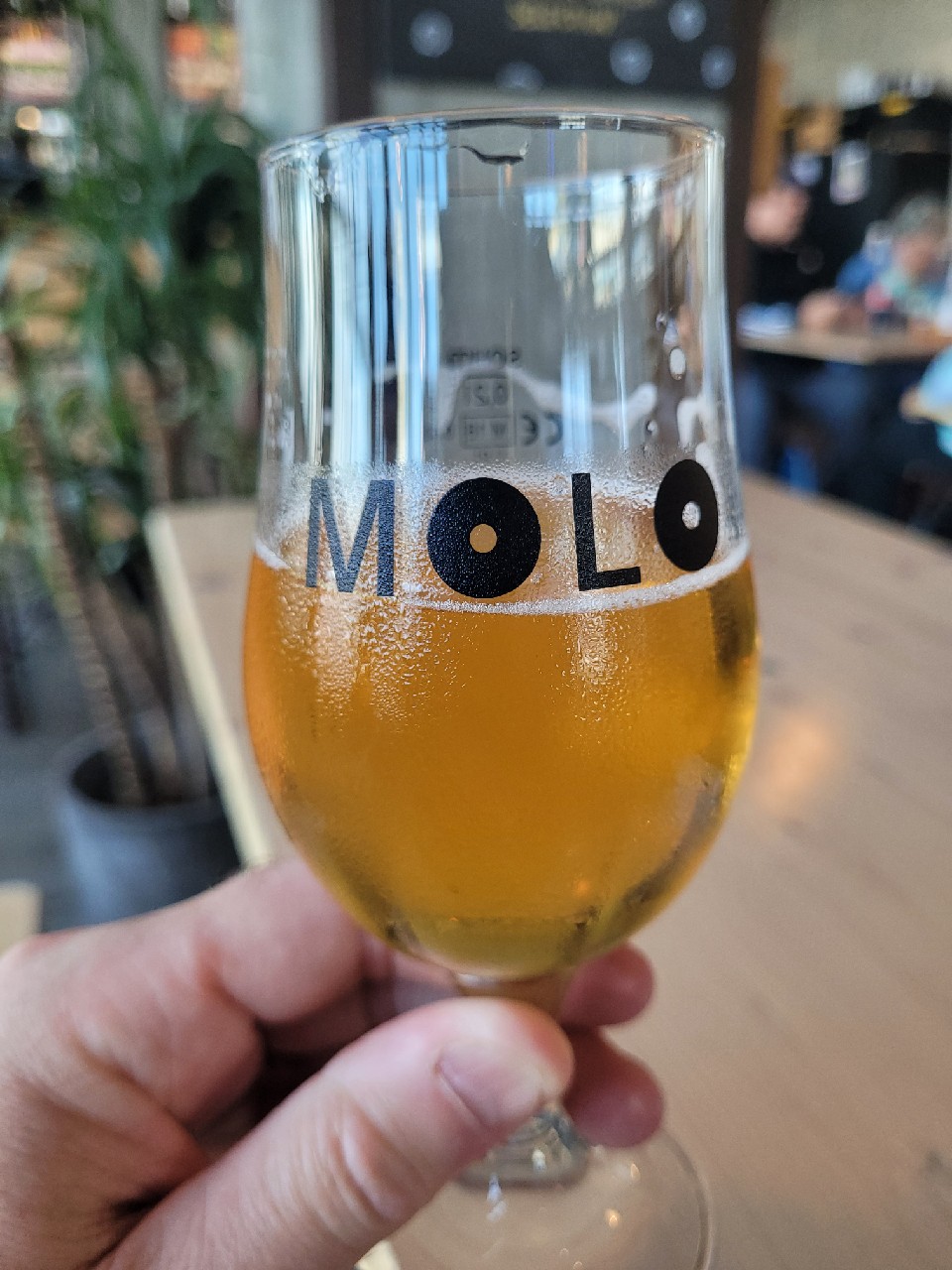 Hellelujah, Molo Brew