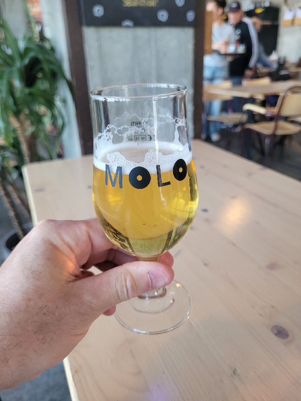 Instant Hero, Molo Brew