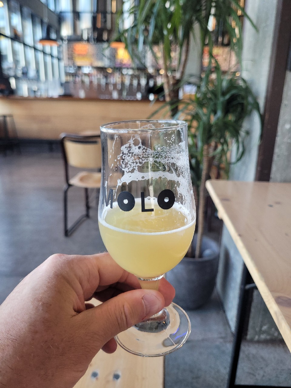 Hazy Dayz, Molo Brew