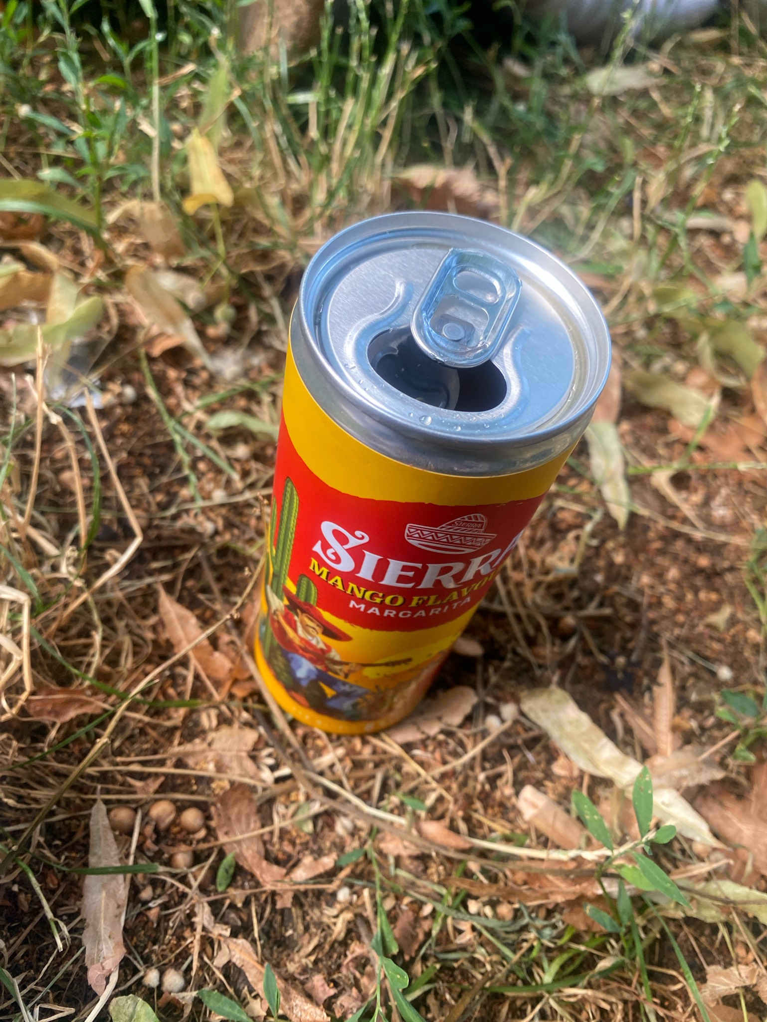 Mango Flavour Margarita, Mexico