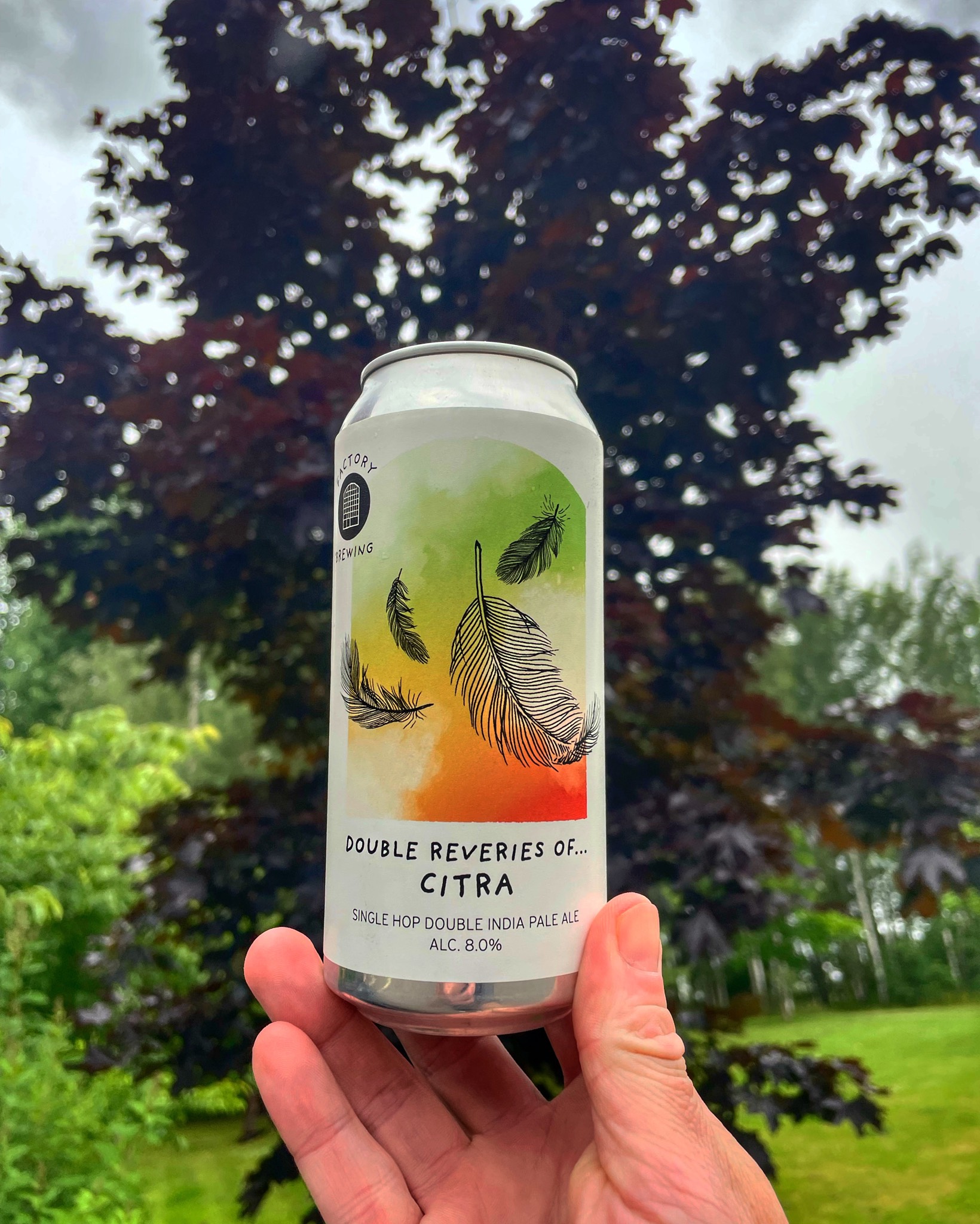 Double Reveries Of… Citra, Finland