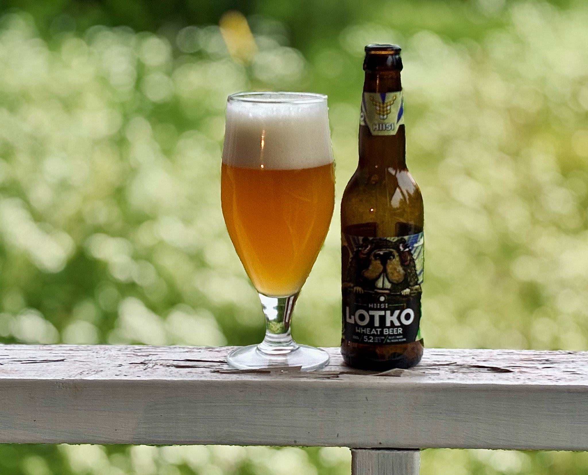 Lotko, Finland
