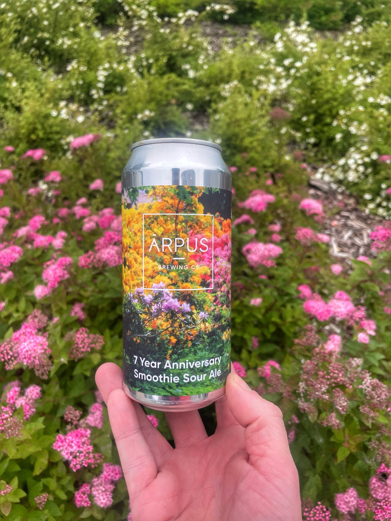 7 Year Anniversary Smoothie Sour Ale, Latvia