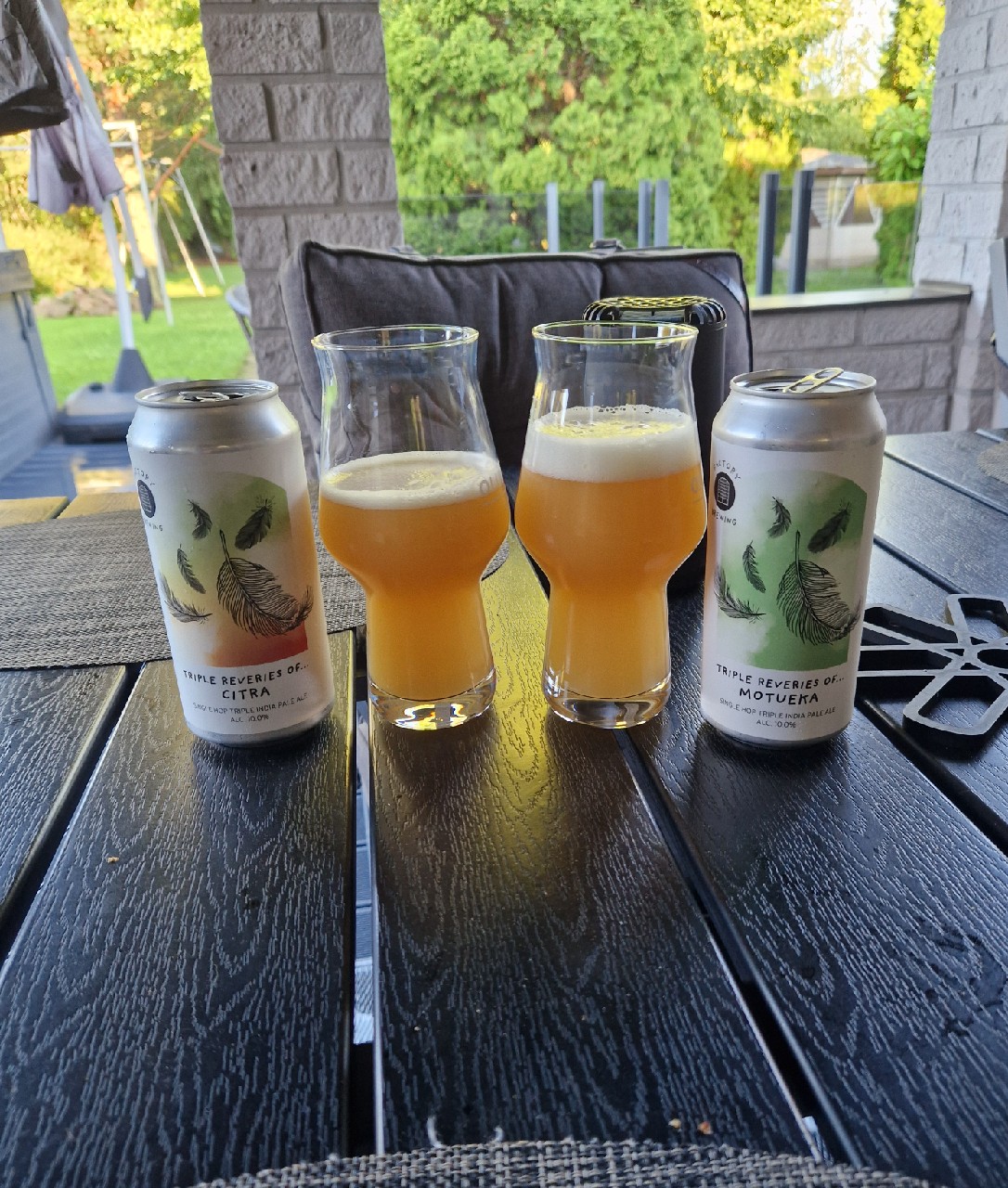 Triple Reveries of... Citra, Finland