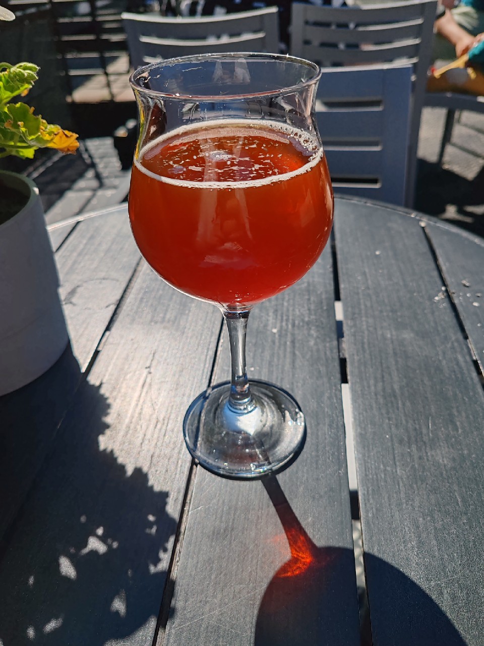 Borgå Red Ale, Finland