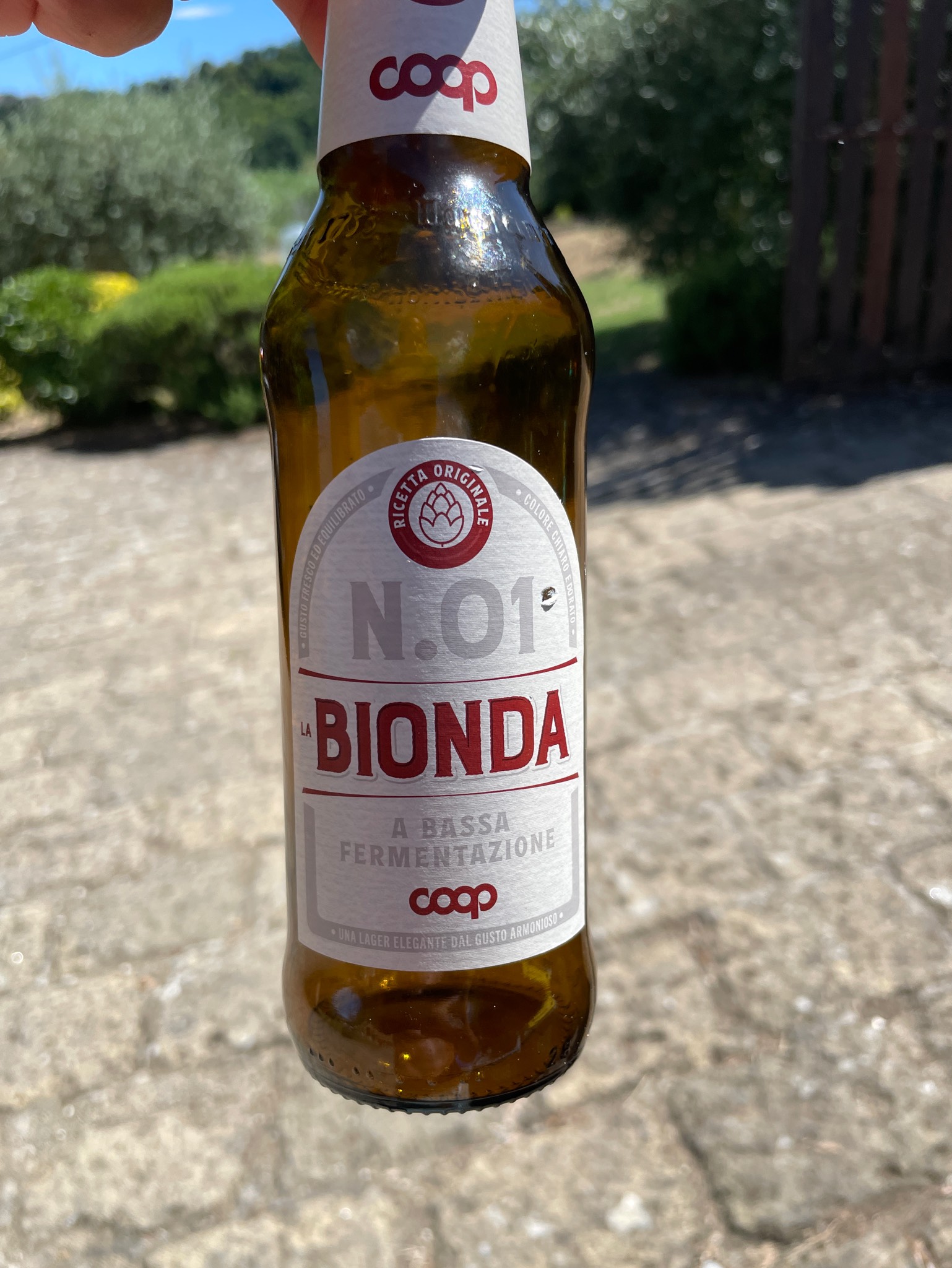 N.01 La Bionda, Coop Italia S.C. Casalecchio