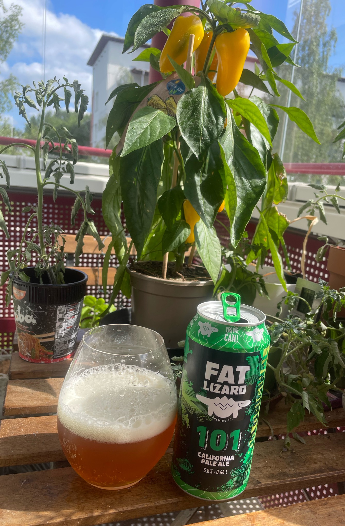 101 California pale ale anniversary, Finland