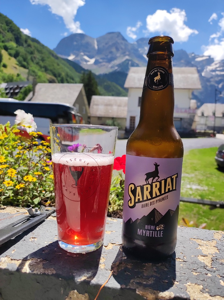 Sarriat Myrtille, France