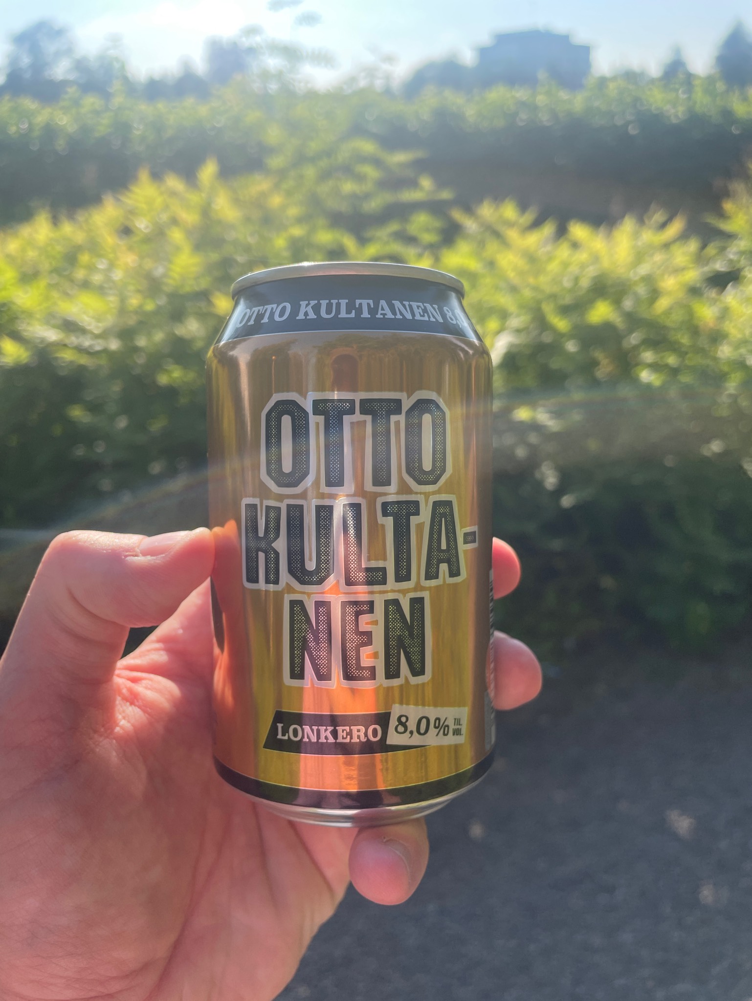 Otto Virtanen, Finland
